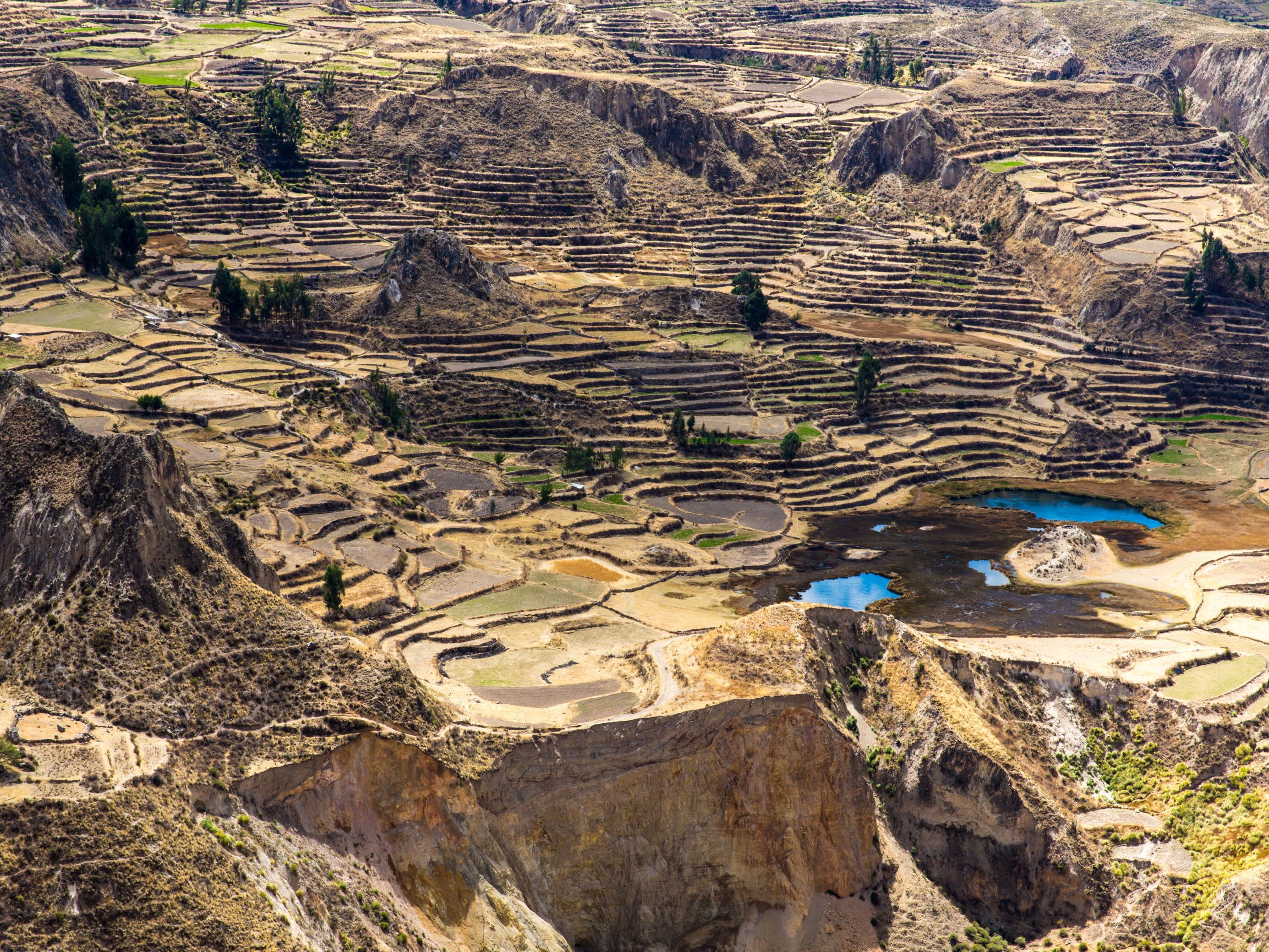 Colca Canyon