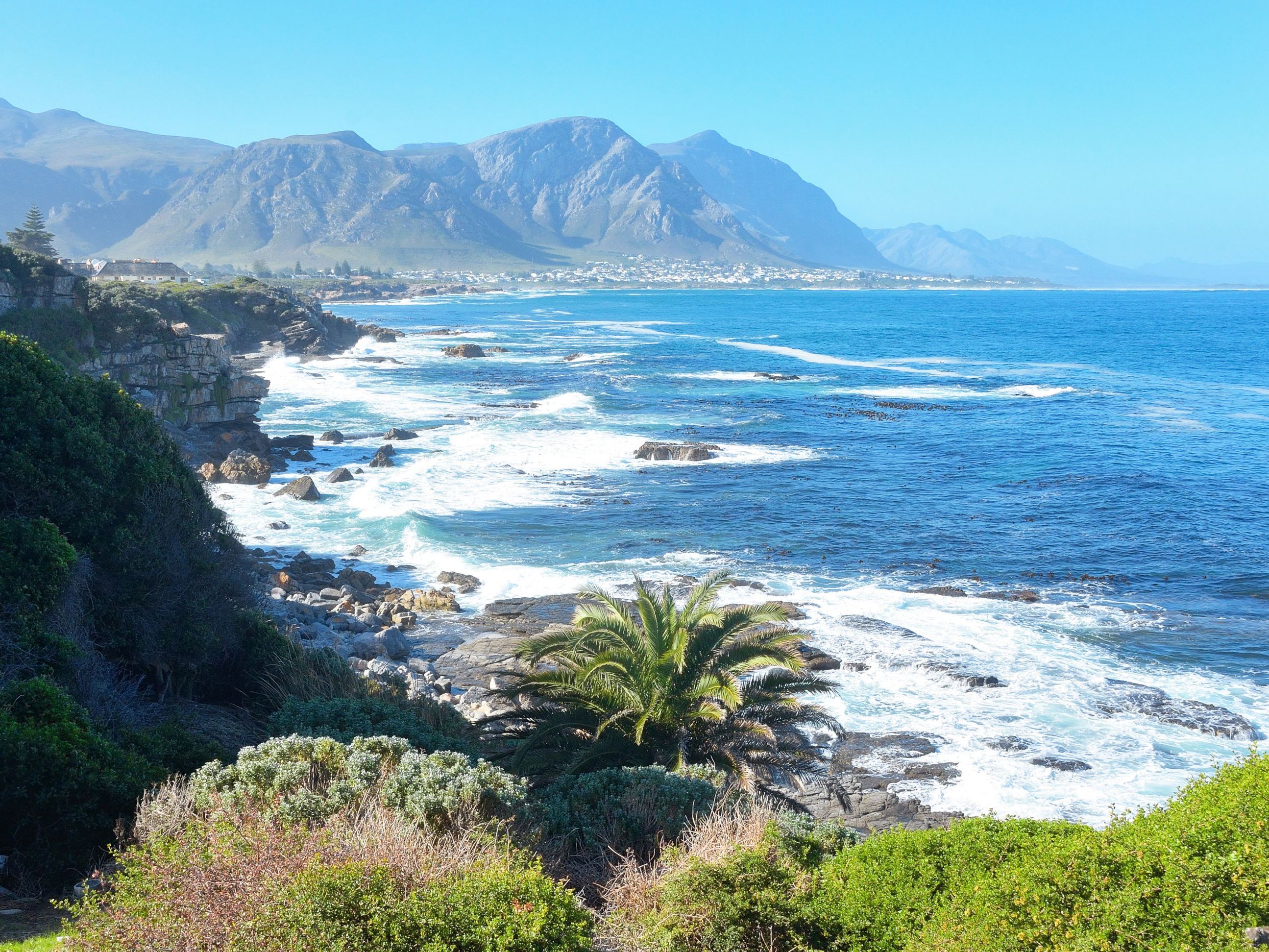 Cape Town - Grootbos Private Game Reserve