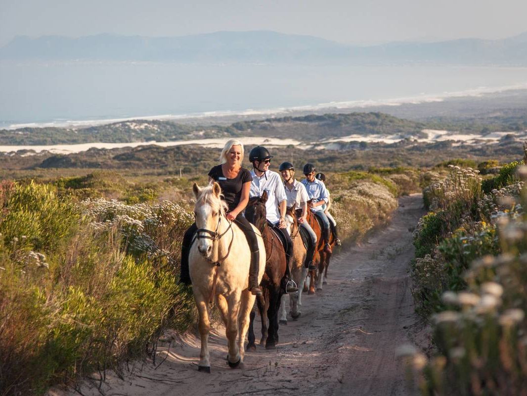 Grootbos Private Game Reserve