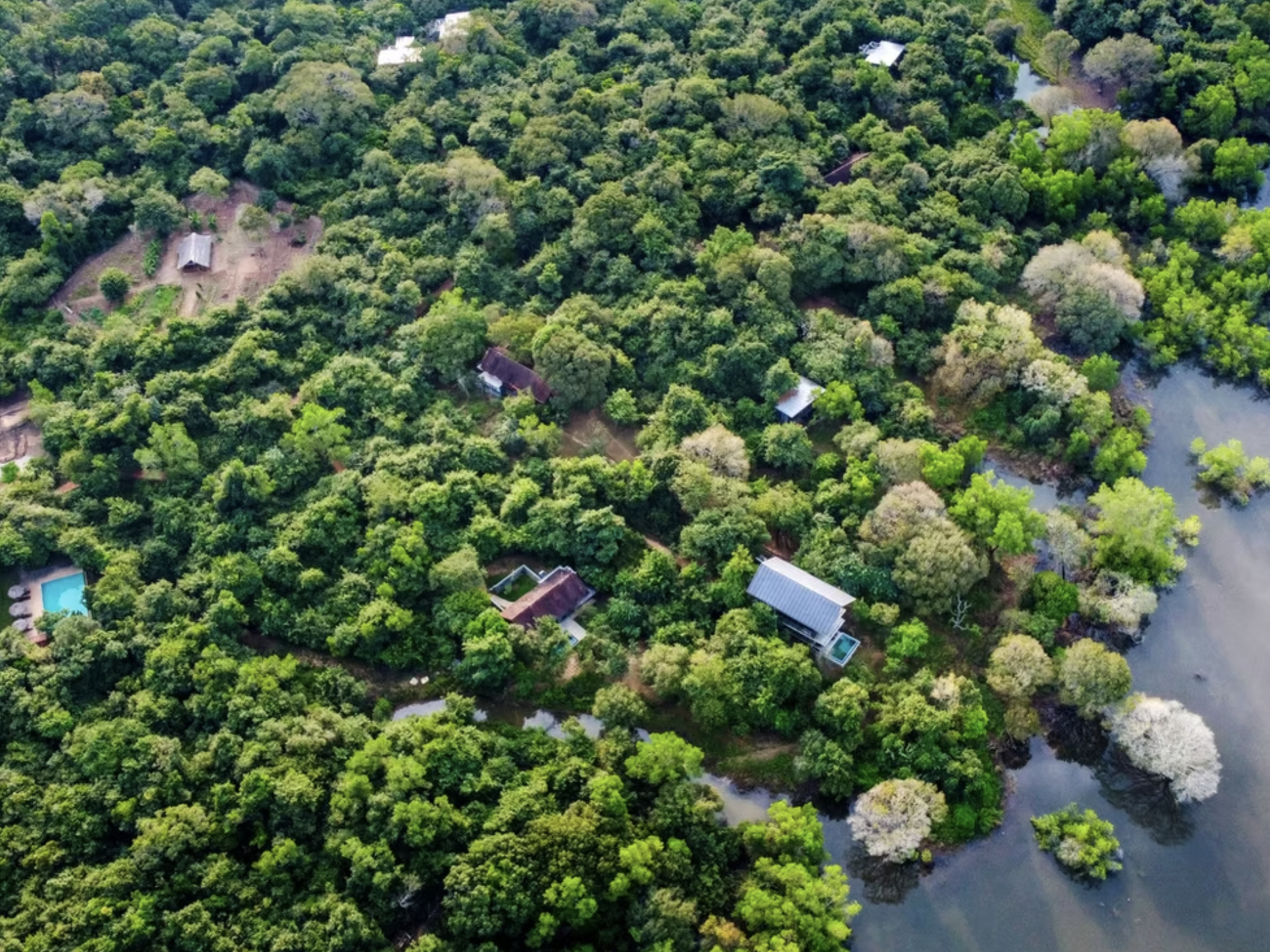 Wildgrass Nature Resort