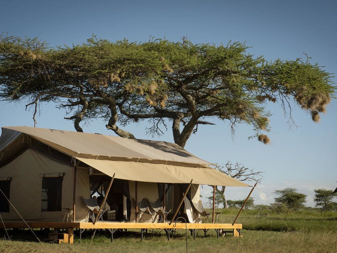 Siringit Serengeti Camp