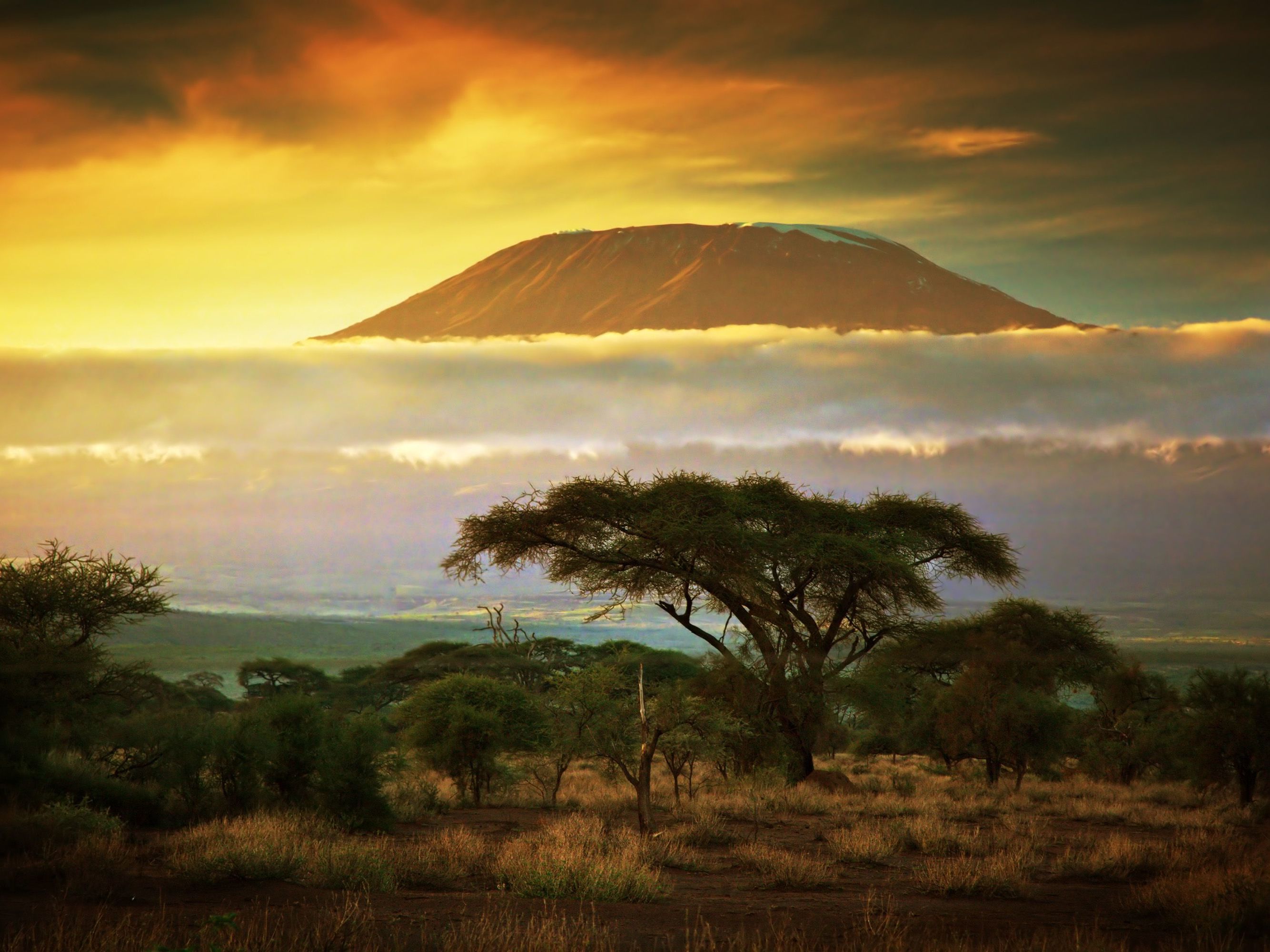Arusha - Kilimanjaro Trek