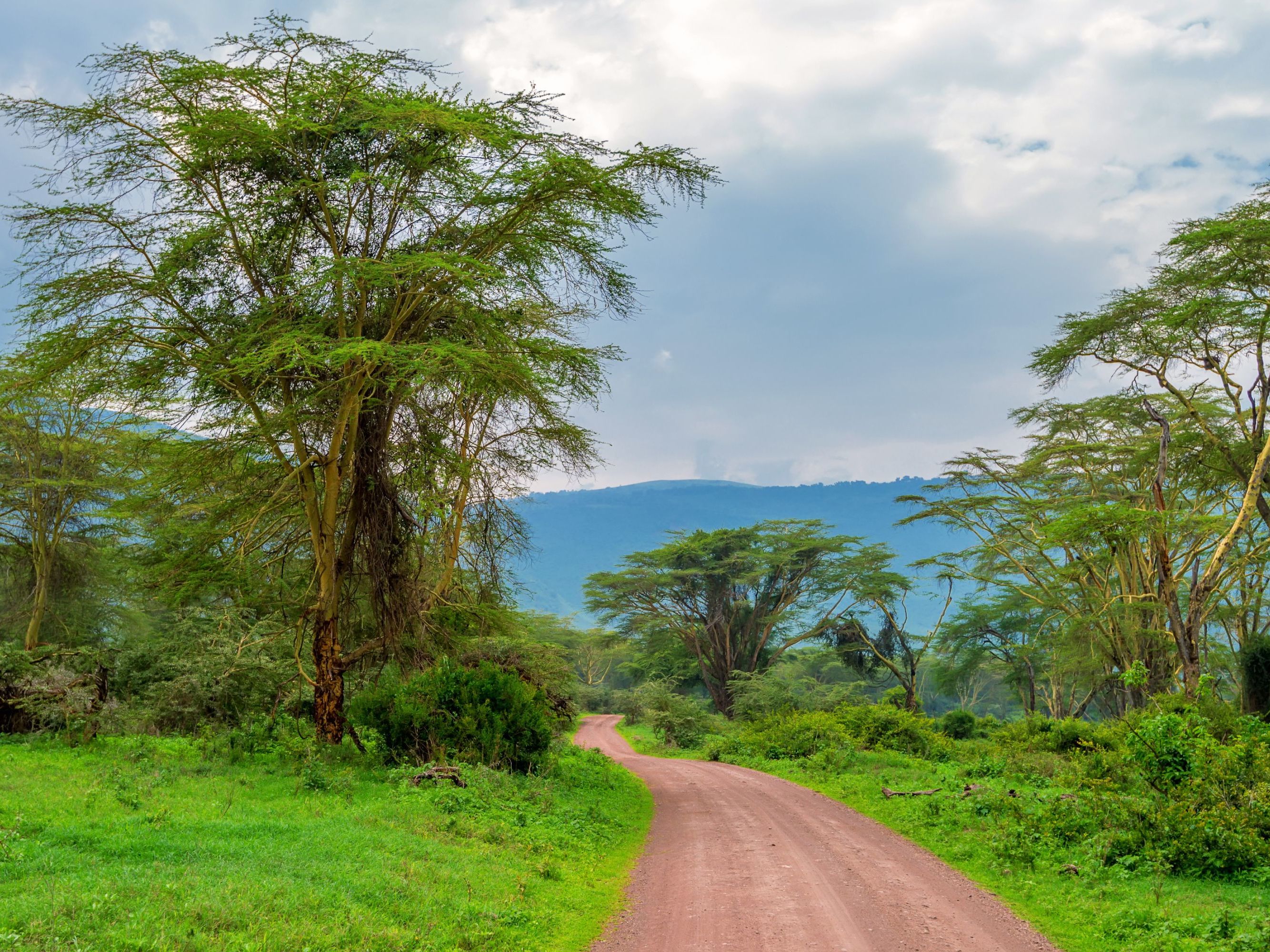 Serengeti - Ngorongoro