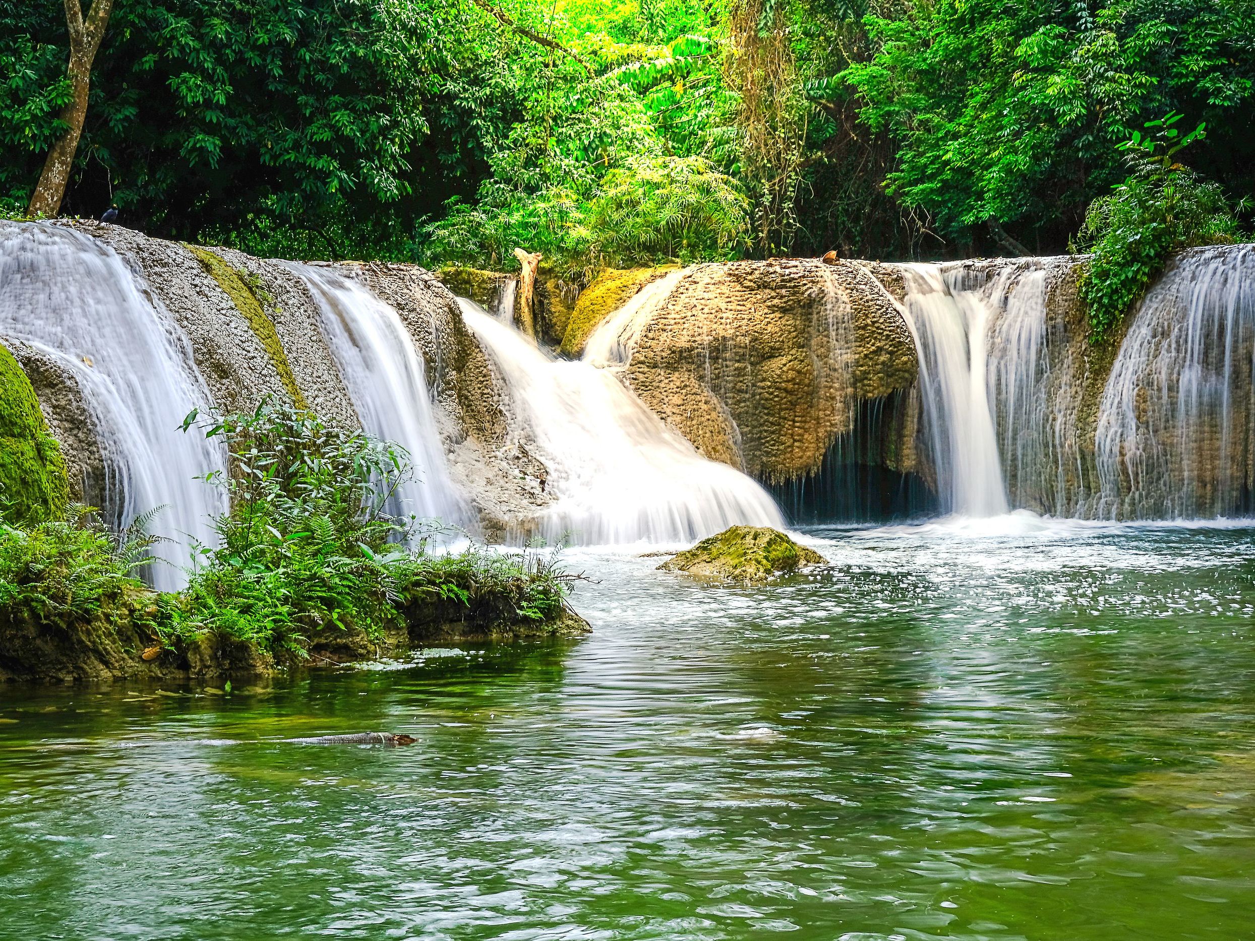 Khao Yai National Park