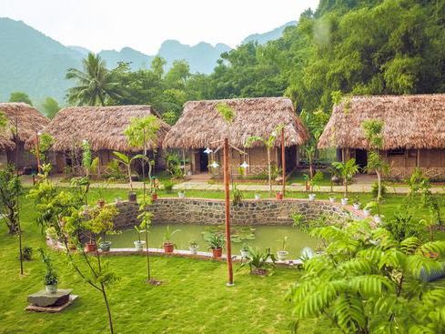 Tam Coc Rice Fields Resort