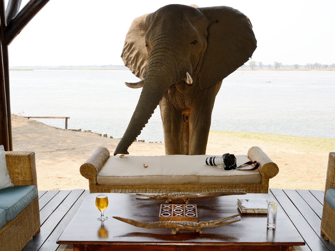 Lower Zambezi National Park