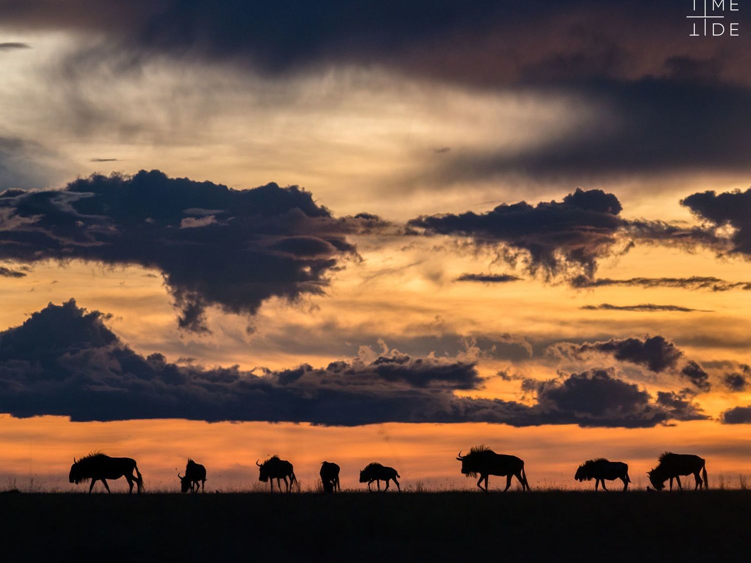 Liuwa Plains  - Livingstone Departure