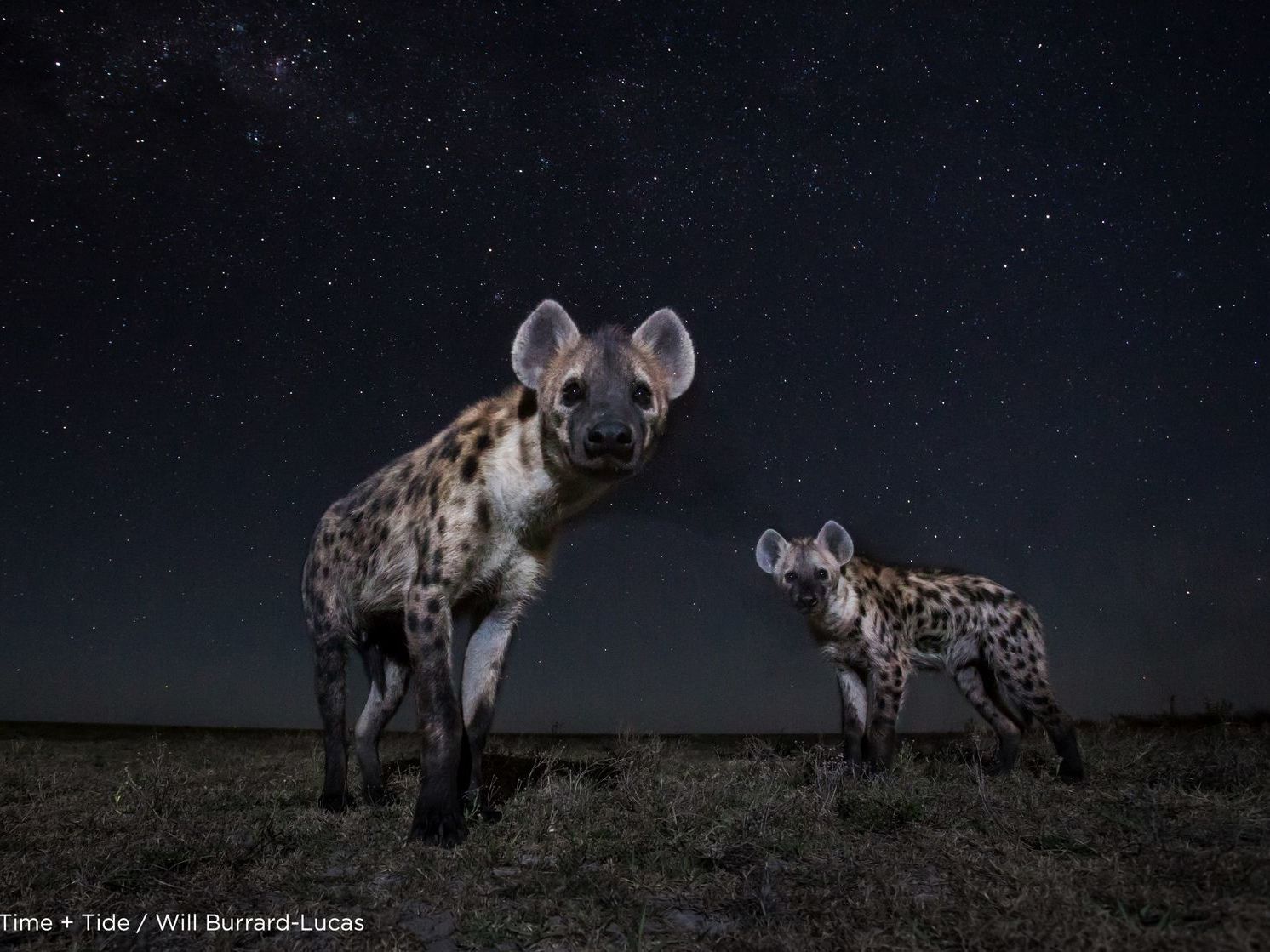 Lower Zambezi National Park