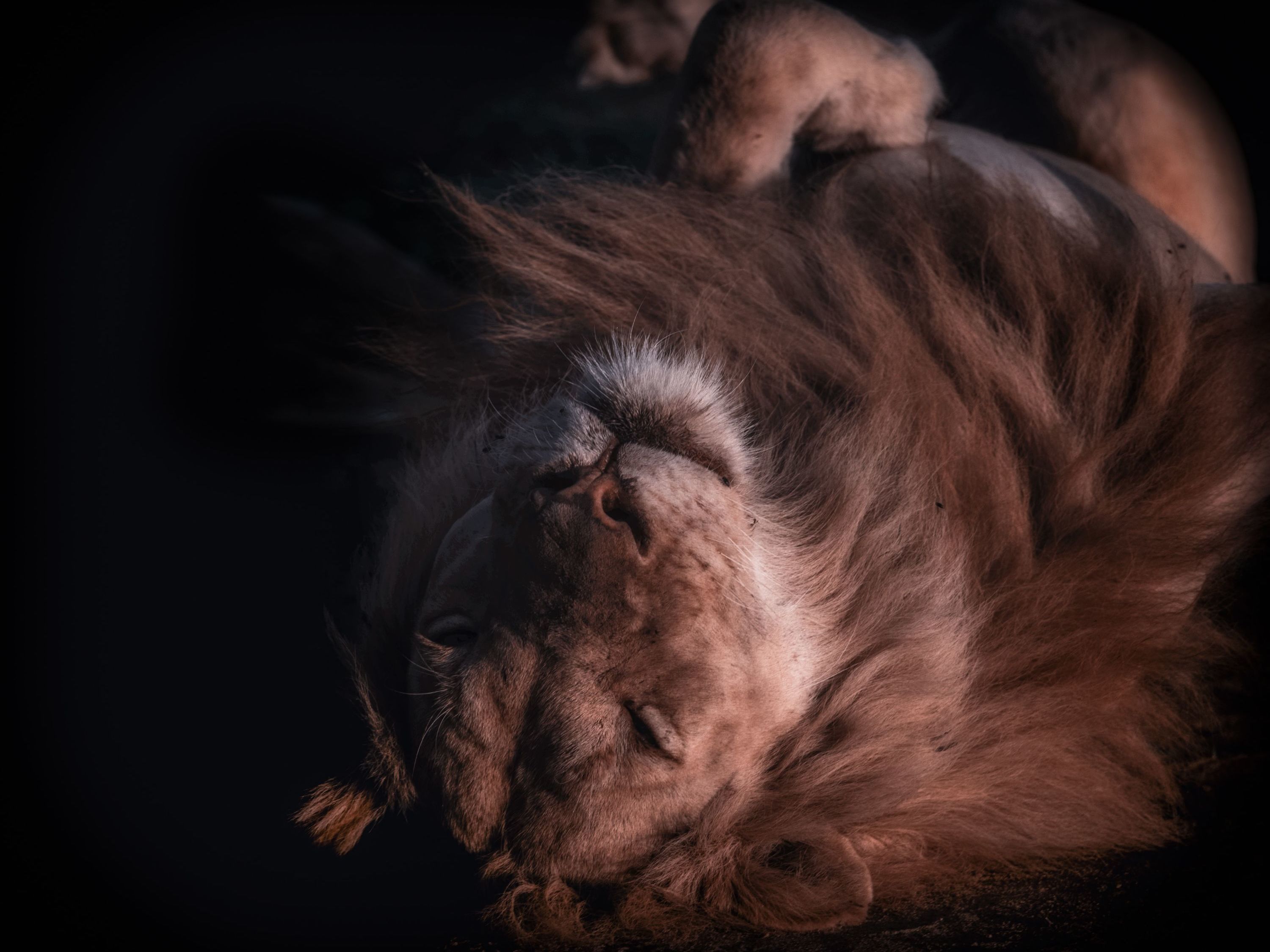 Lusaka - South Luangwa Arrival