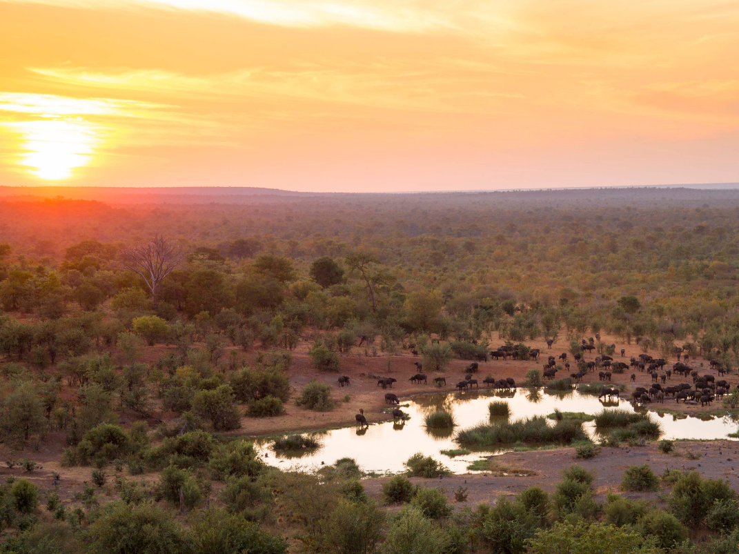 Kapama Private Game Reserve - Victoria Falls