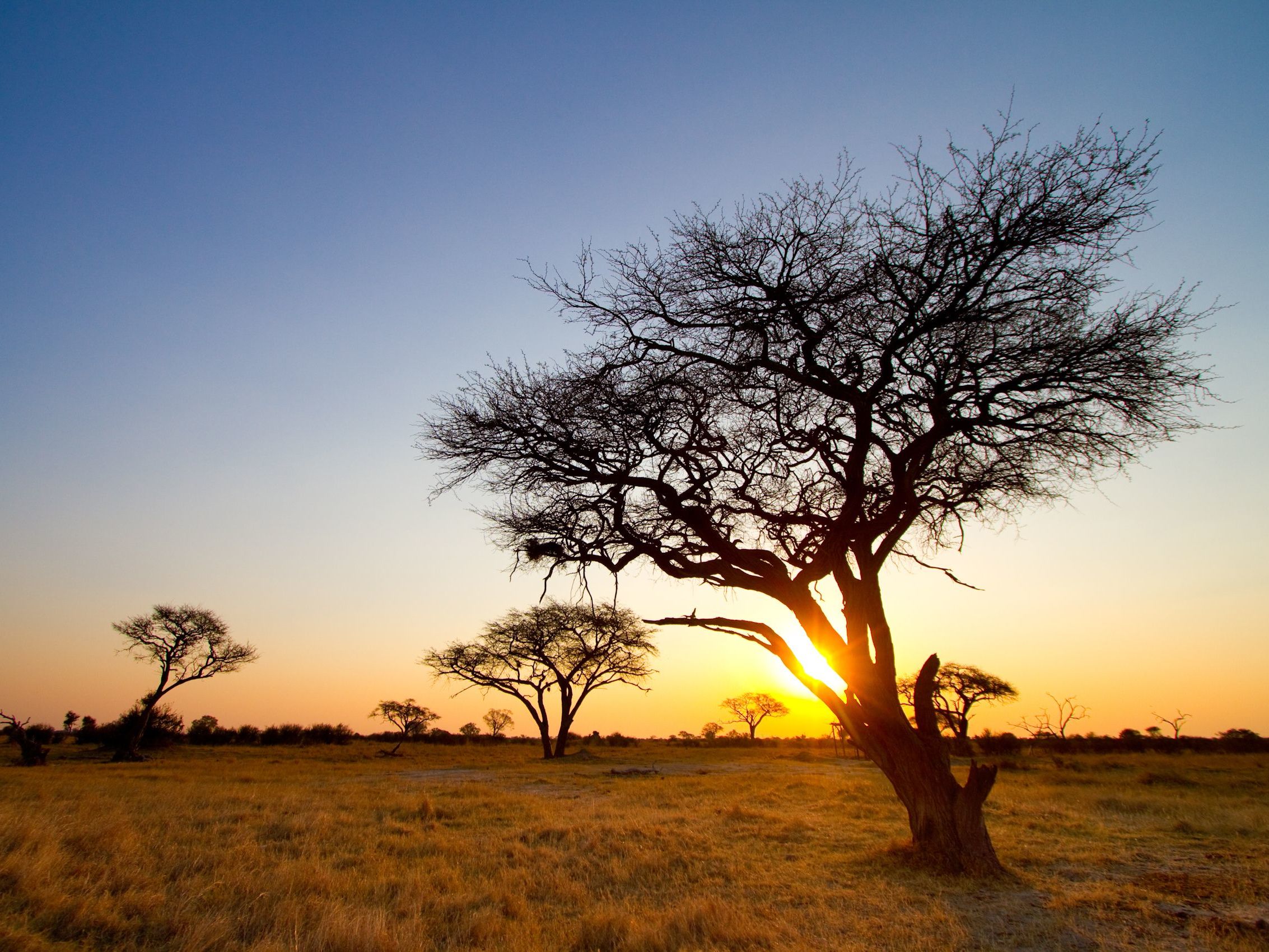 Mana Pools - Harare Departure