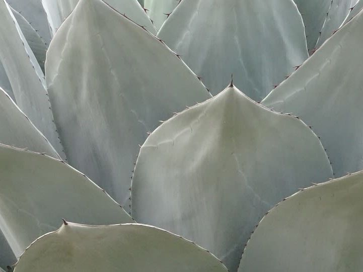 Journey to the Middle of the World