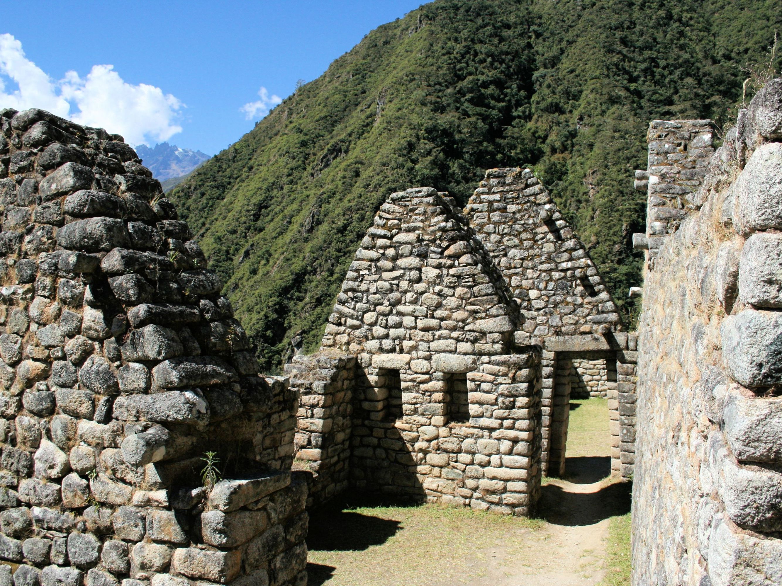 Machu Picchu 2nd Day Tour and Vistadome Train to Cusco
