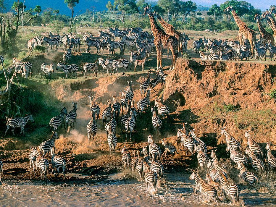 Northern Serengeti National Park