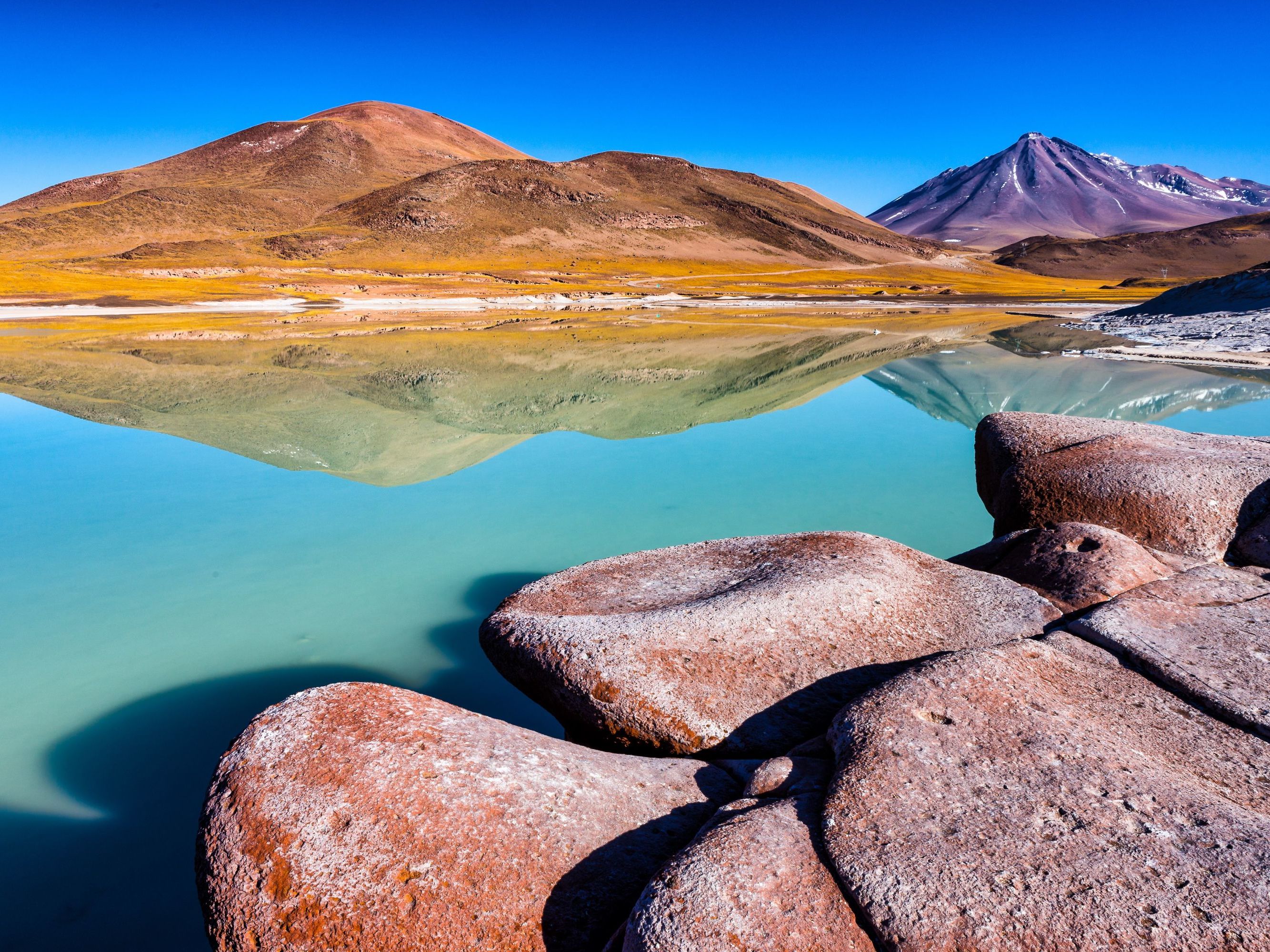 Full Days in Atacama