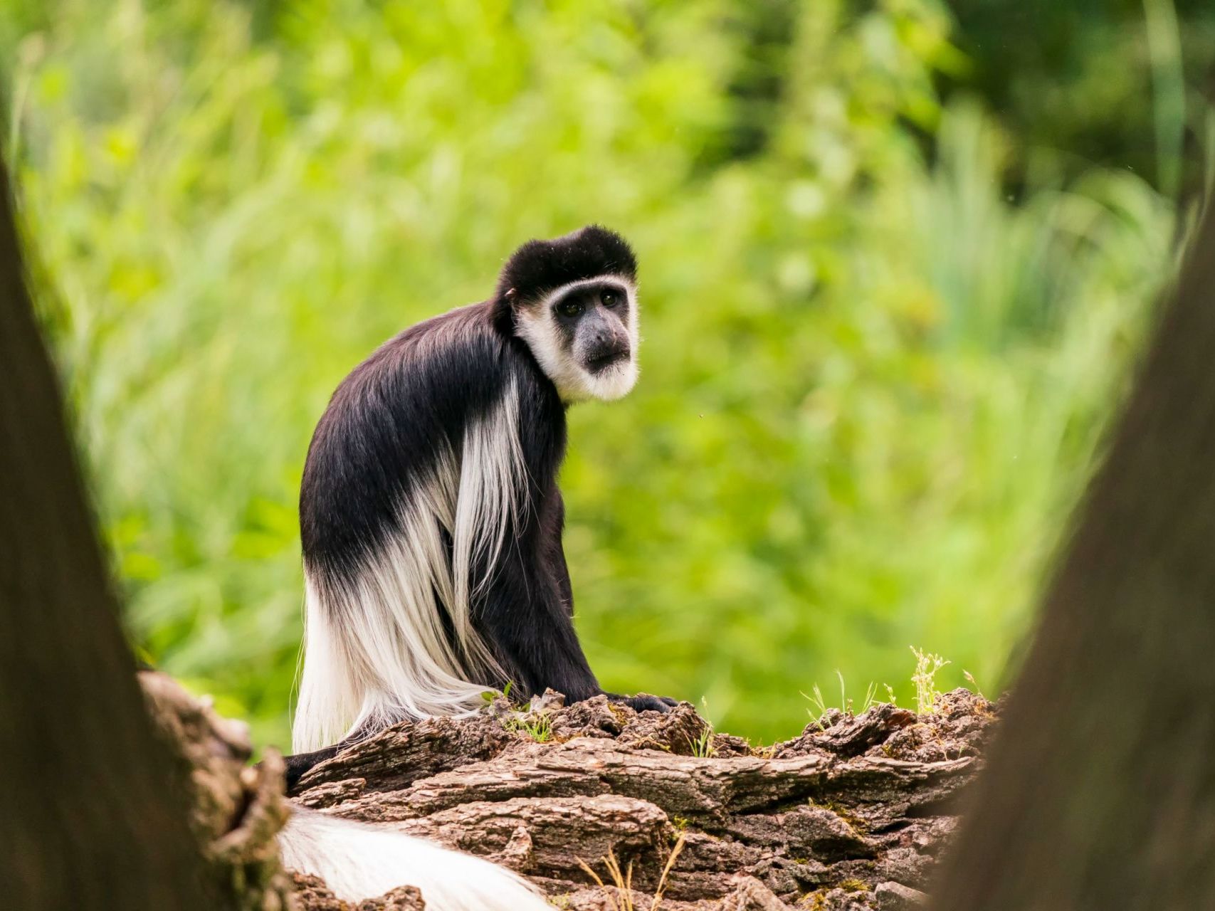 Arusha National Park