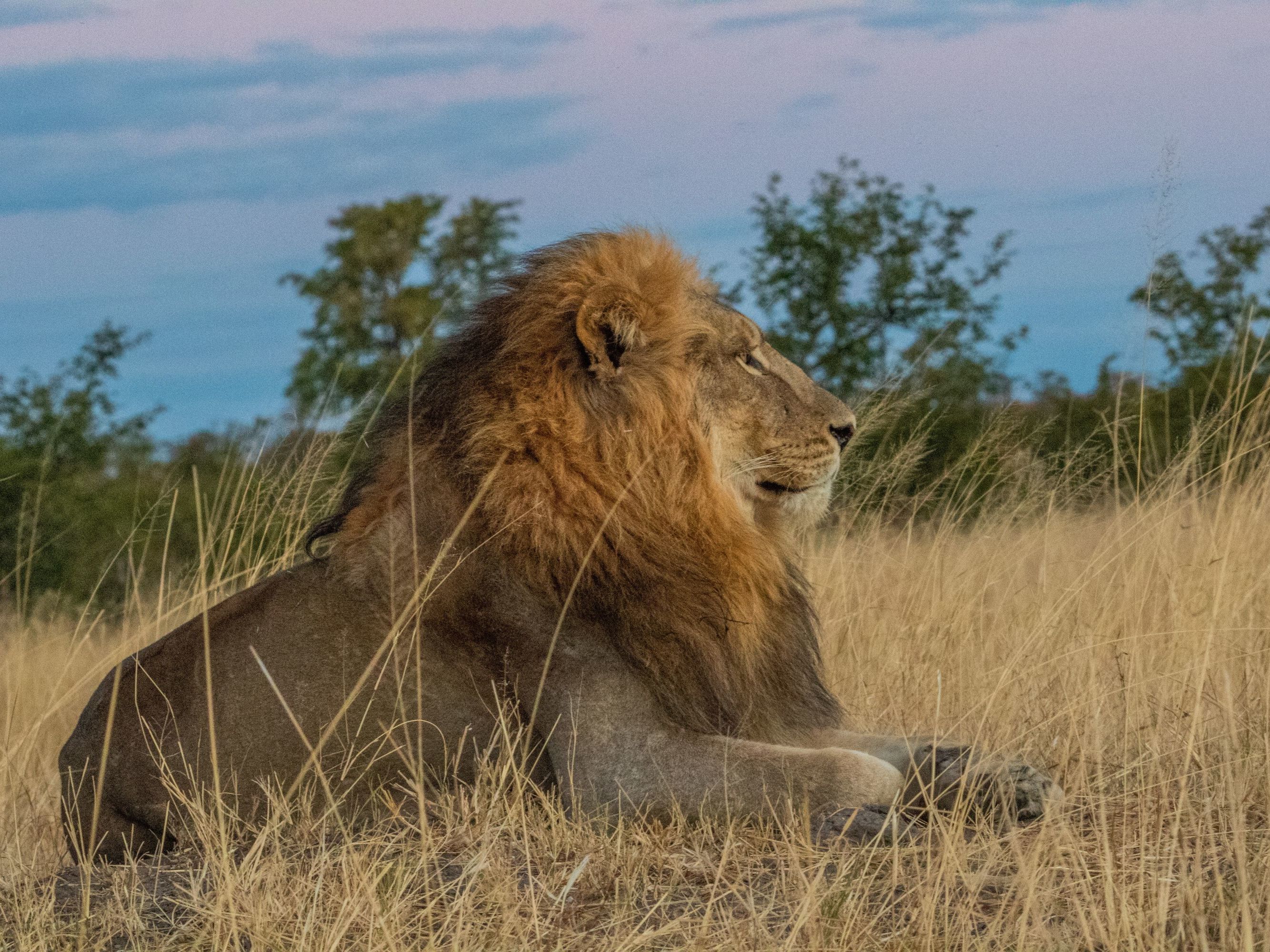 Victoria Falls - Hwange National Park