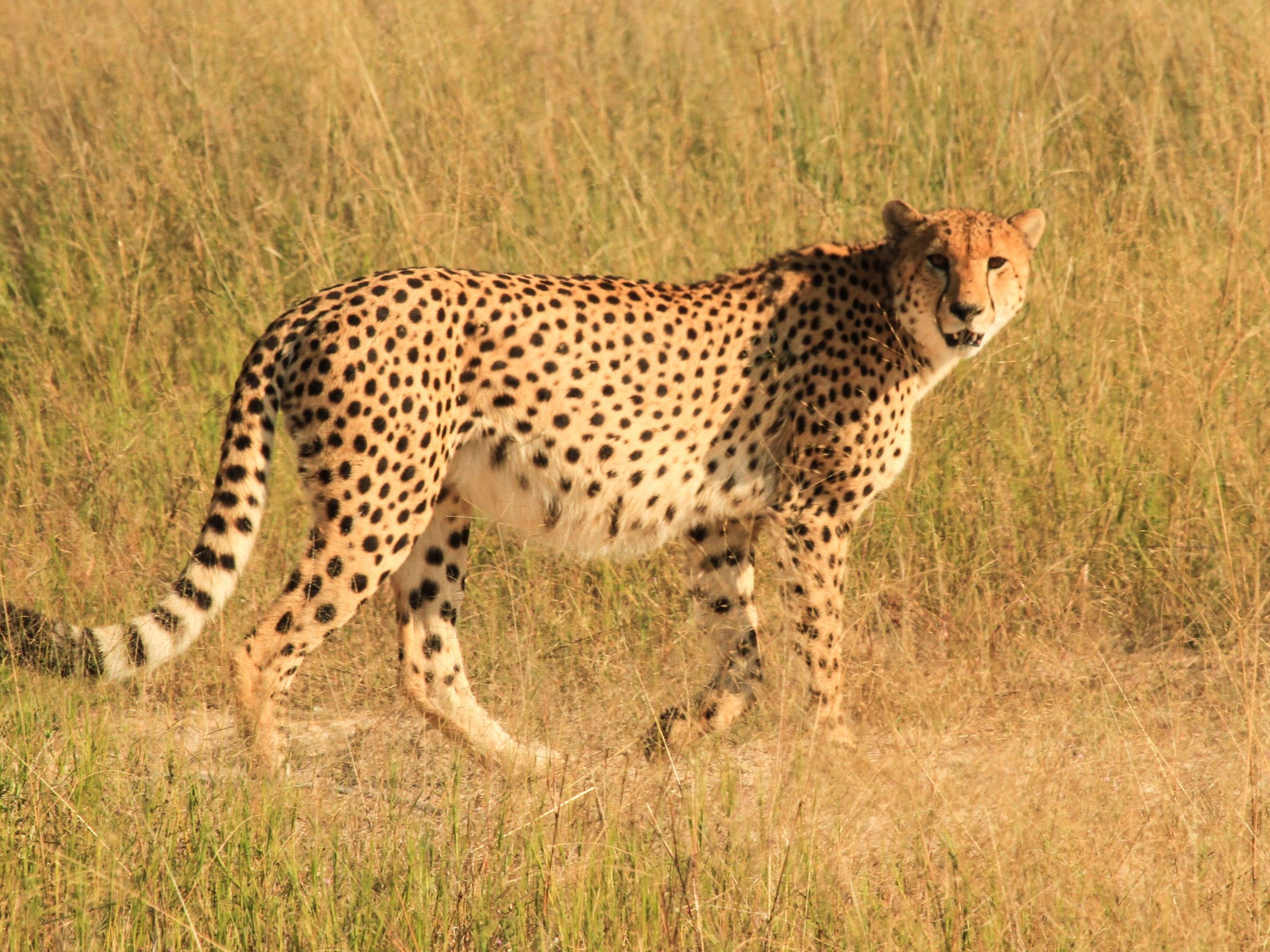 Hwange National Park