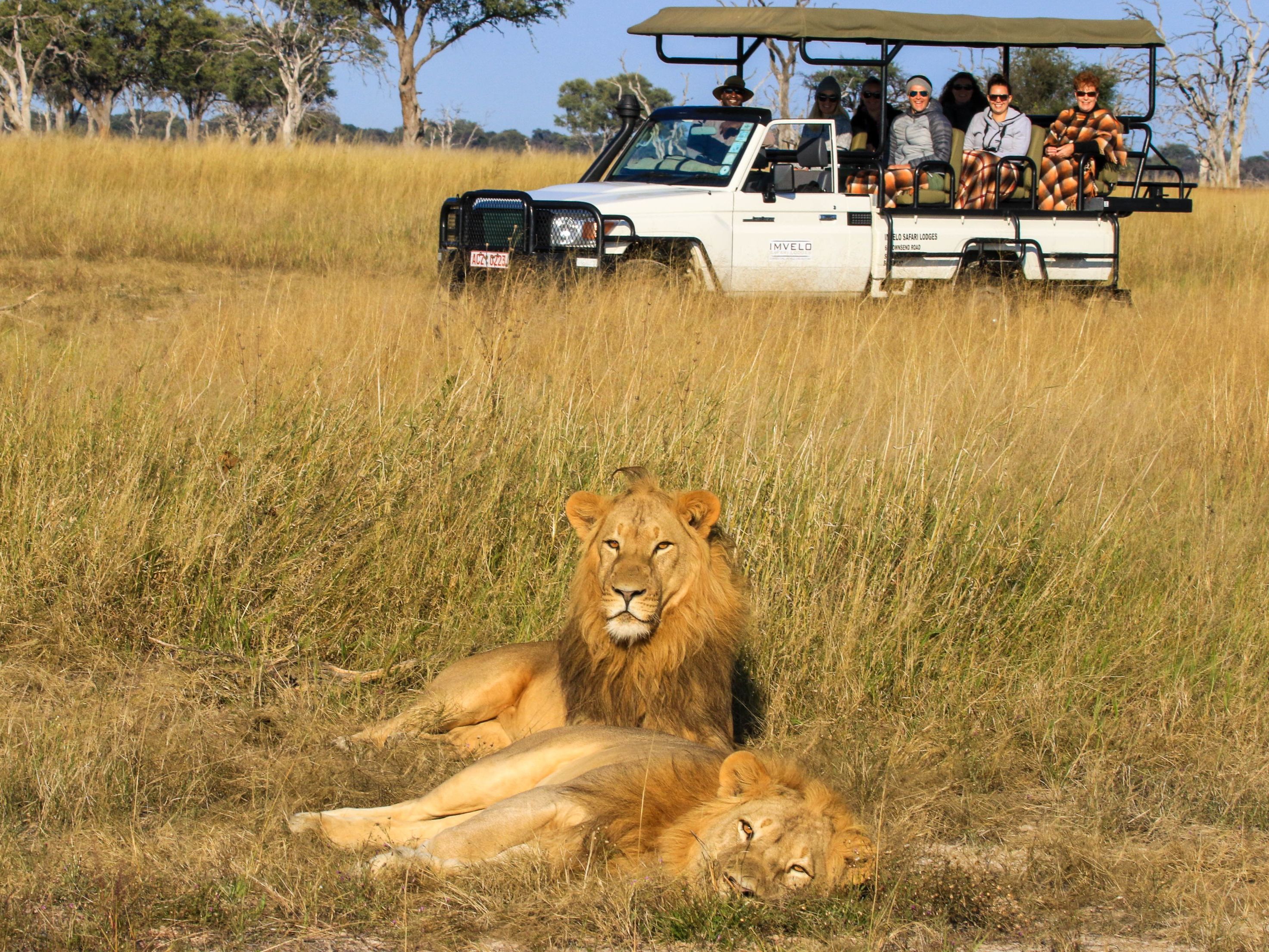 Safari by vehicle and by train to Bomani Tented Lodge in southern Hwange