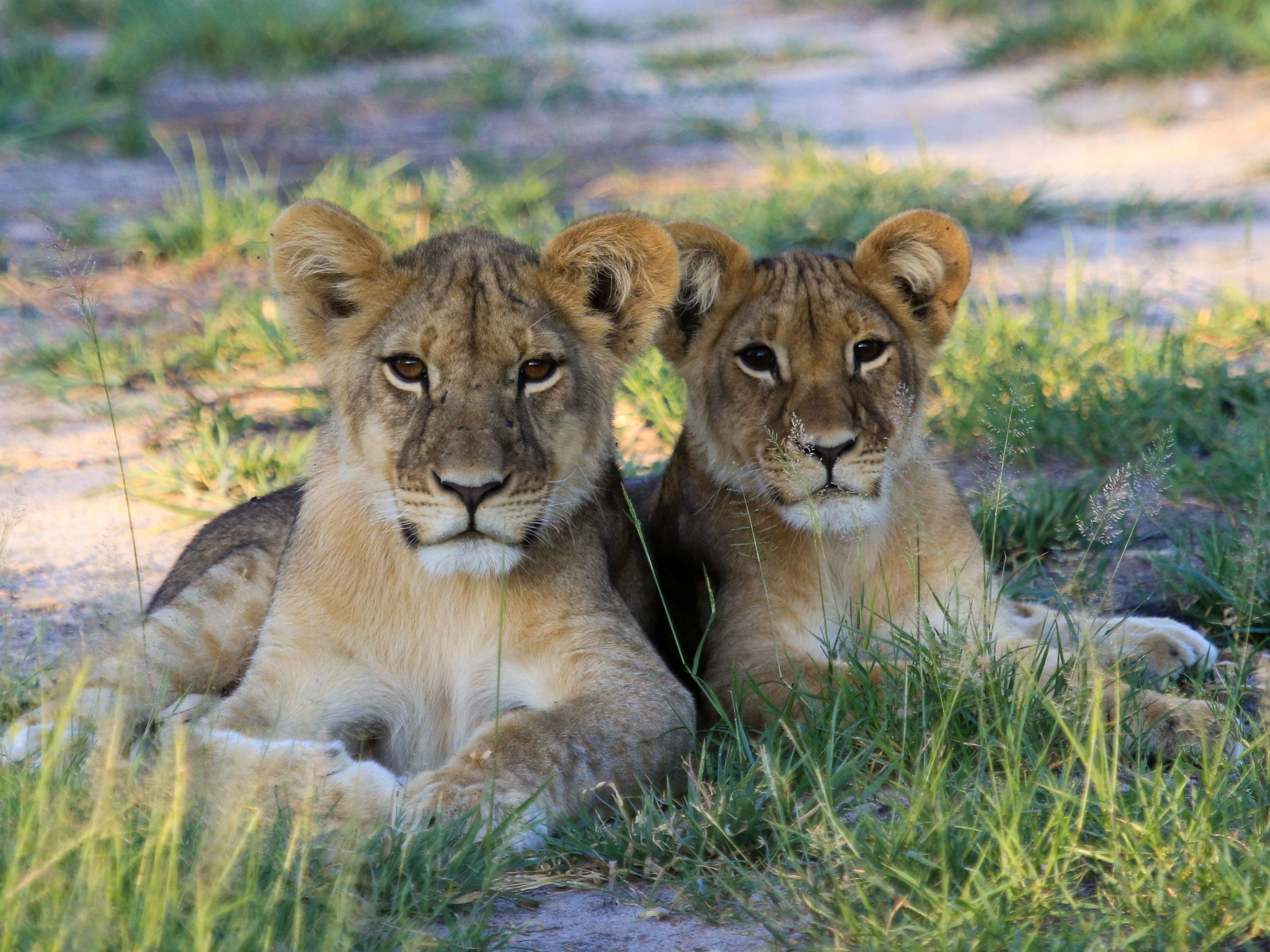 Hwange National Park