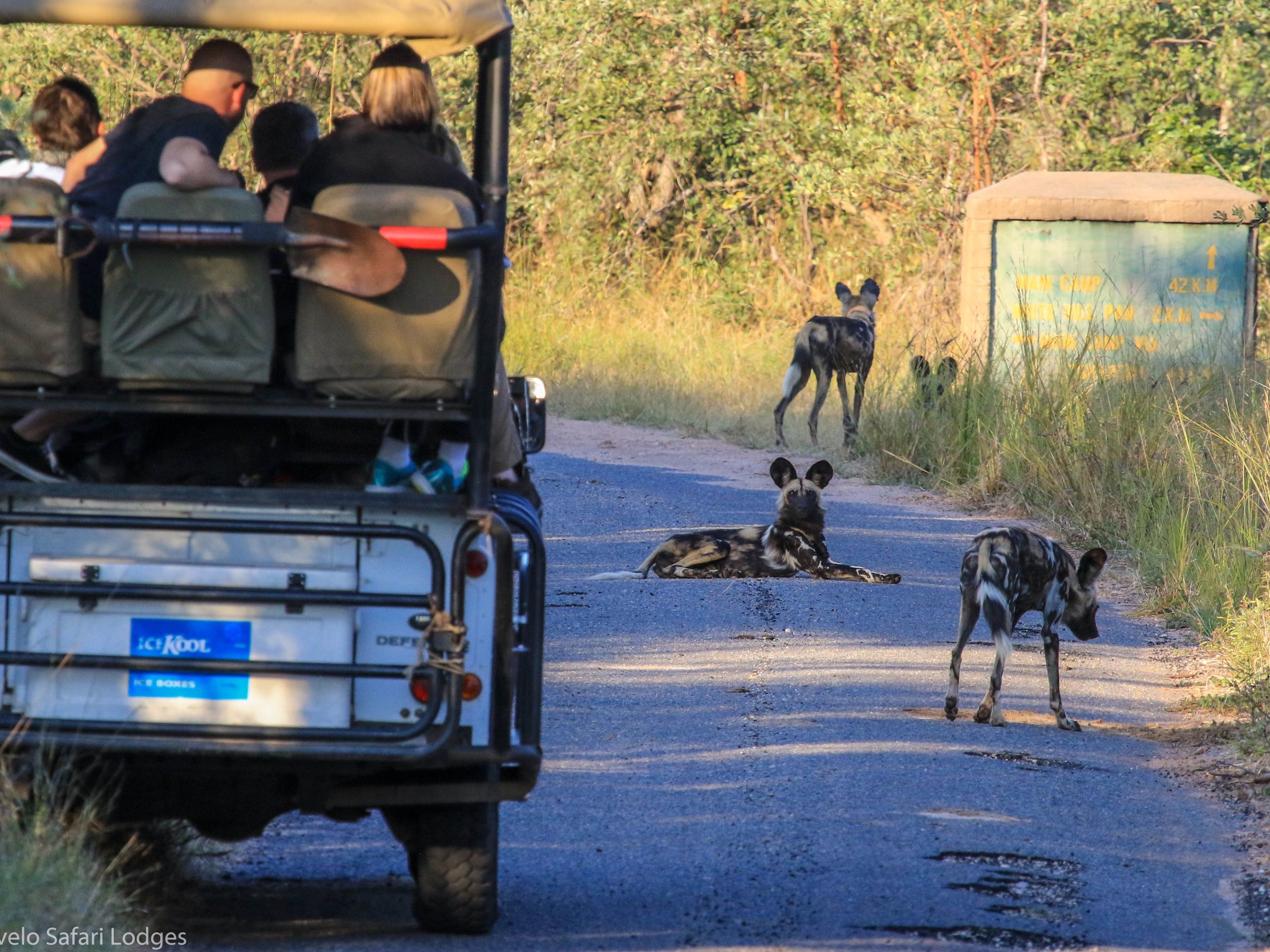 All-day safari and picnic at Mandavu Dam