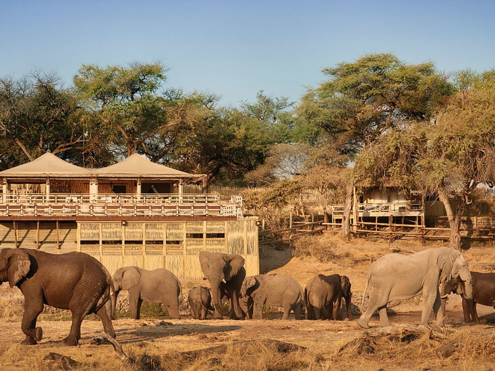 Belmond Savute Elephant Lodge