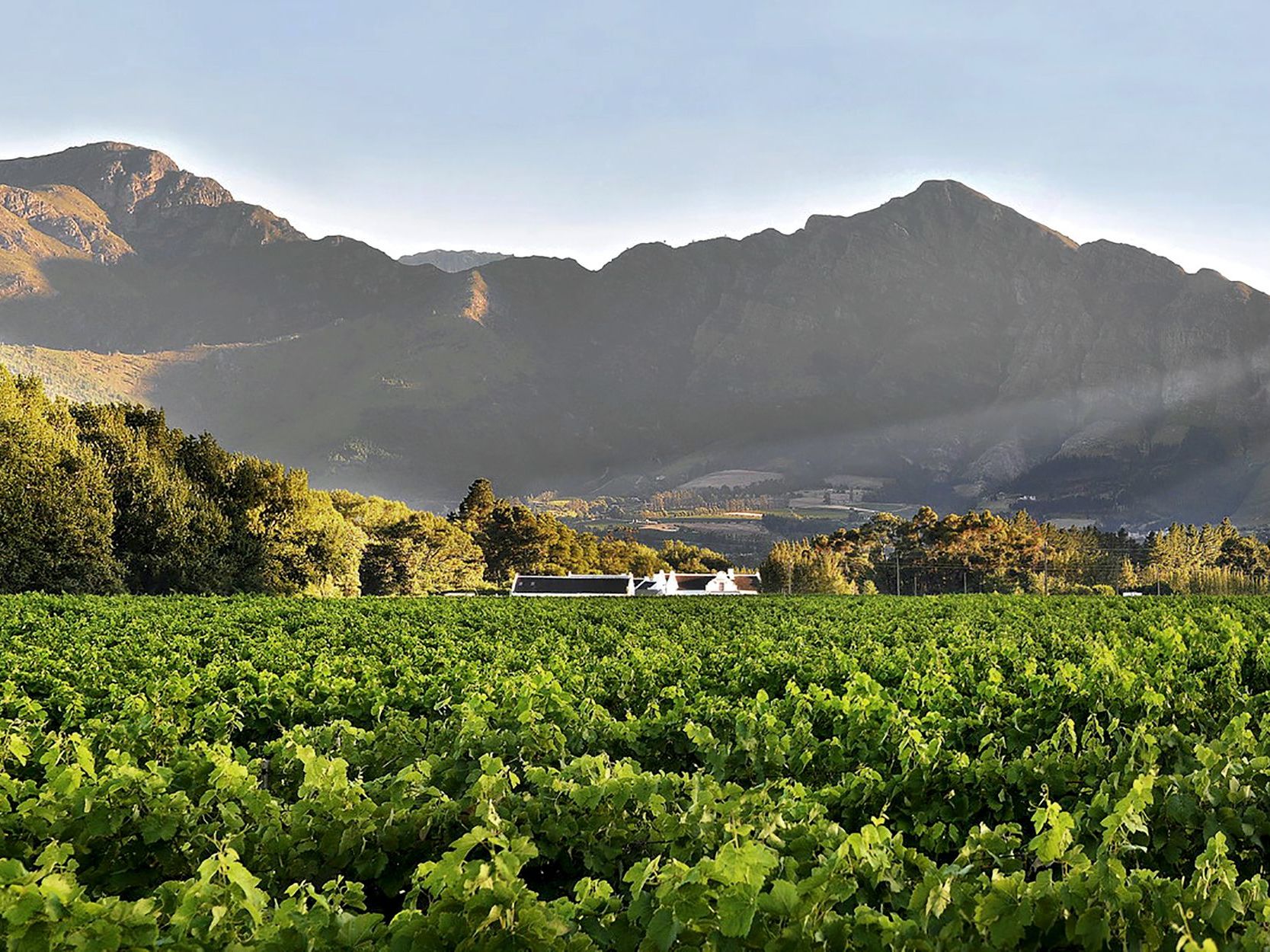 Private Full Day Winelands Tour + Lunch