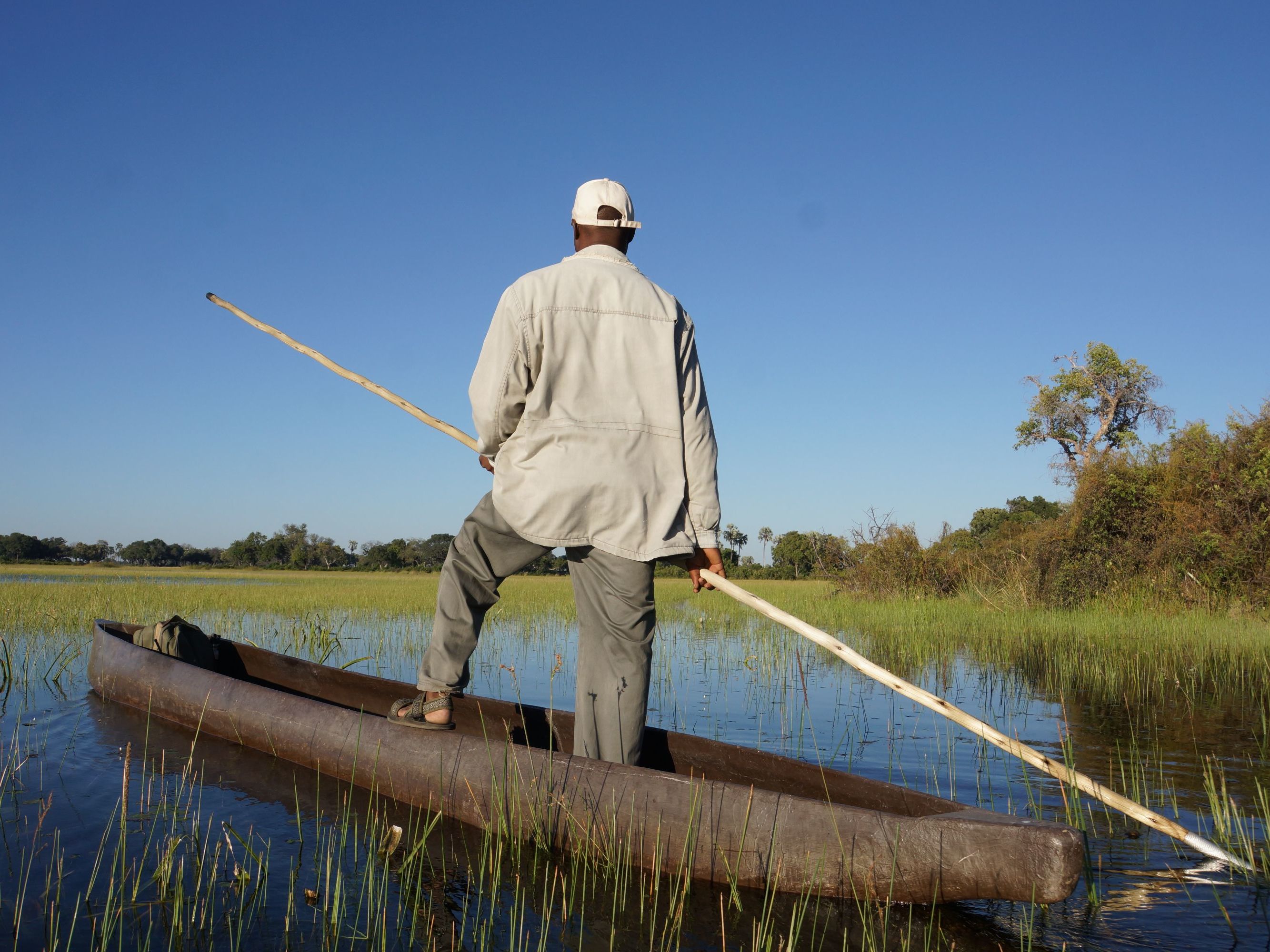 Explore the Okavango Delta