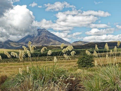 Taupo - Tongariro National Park