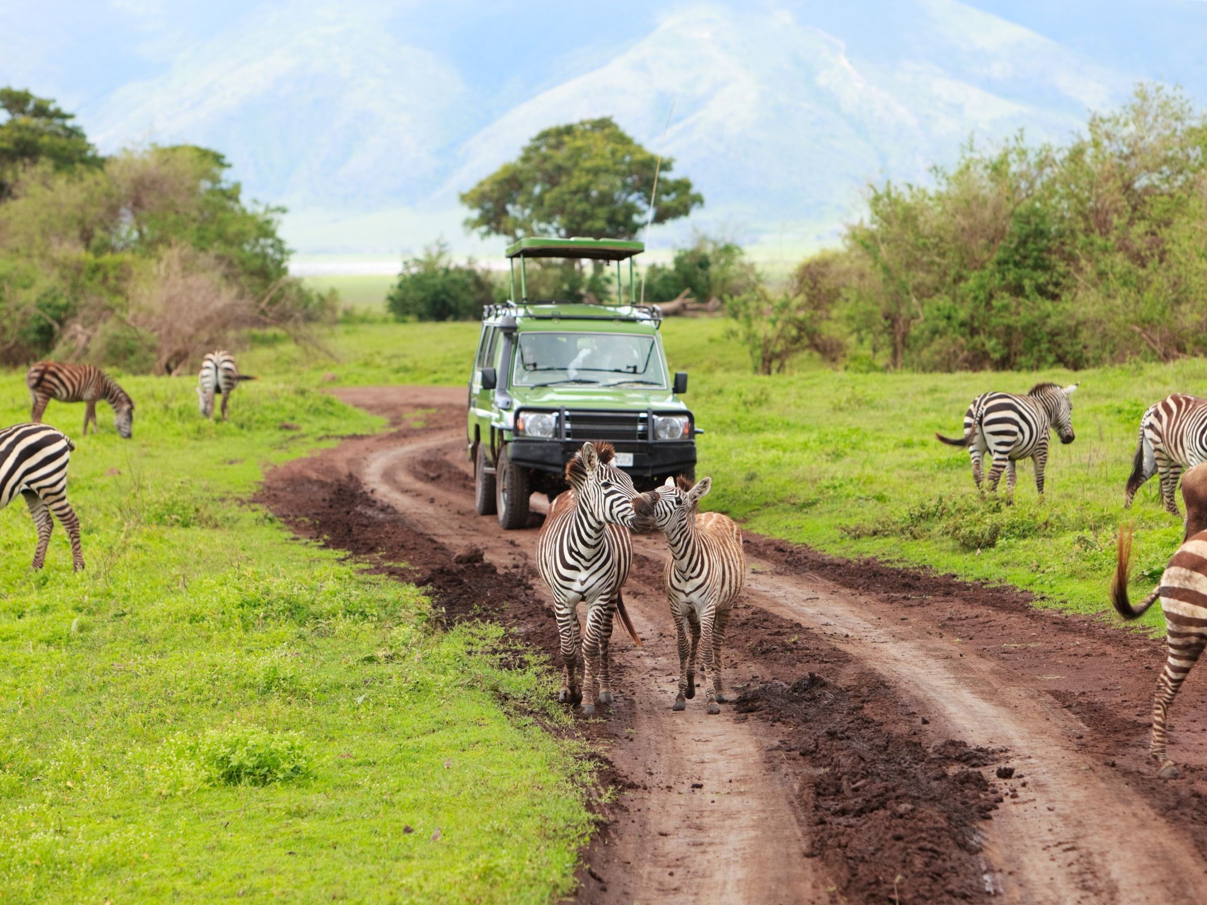 Ngorongoro Crater