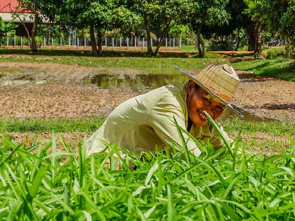 Local Farming Village Countryside Tour-Monk Blessing Ceremony -Old Market