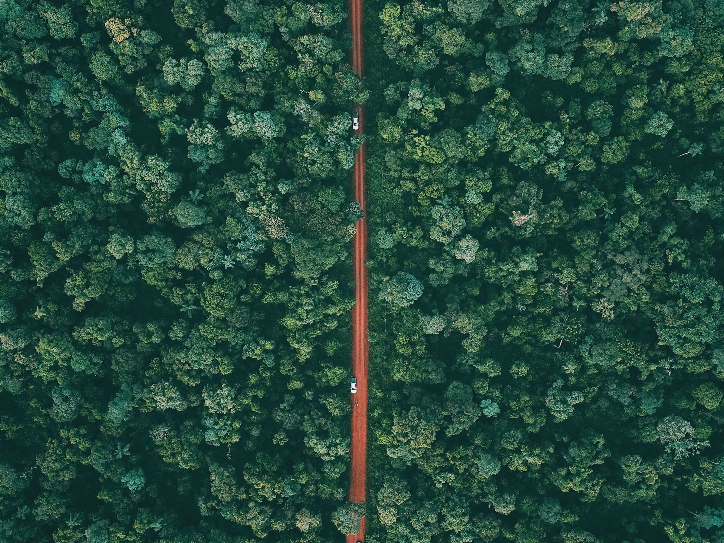 Explore Iguazu Day 1