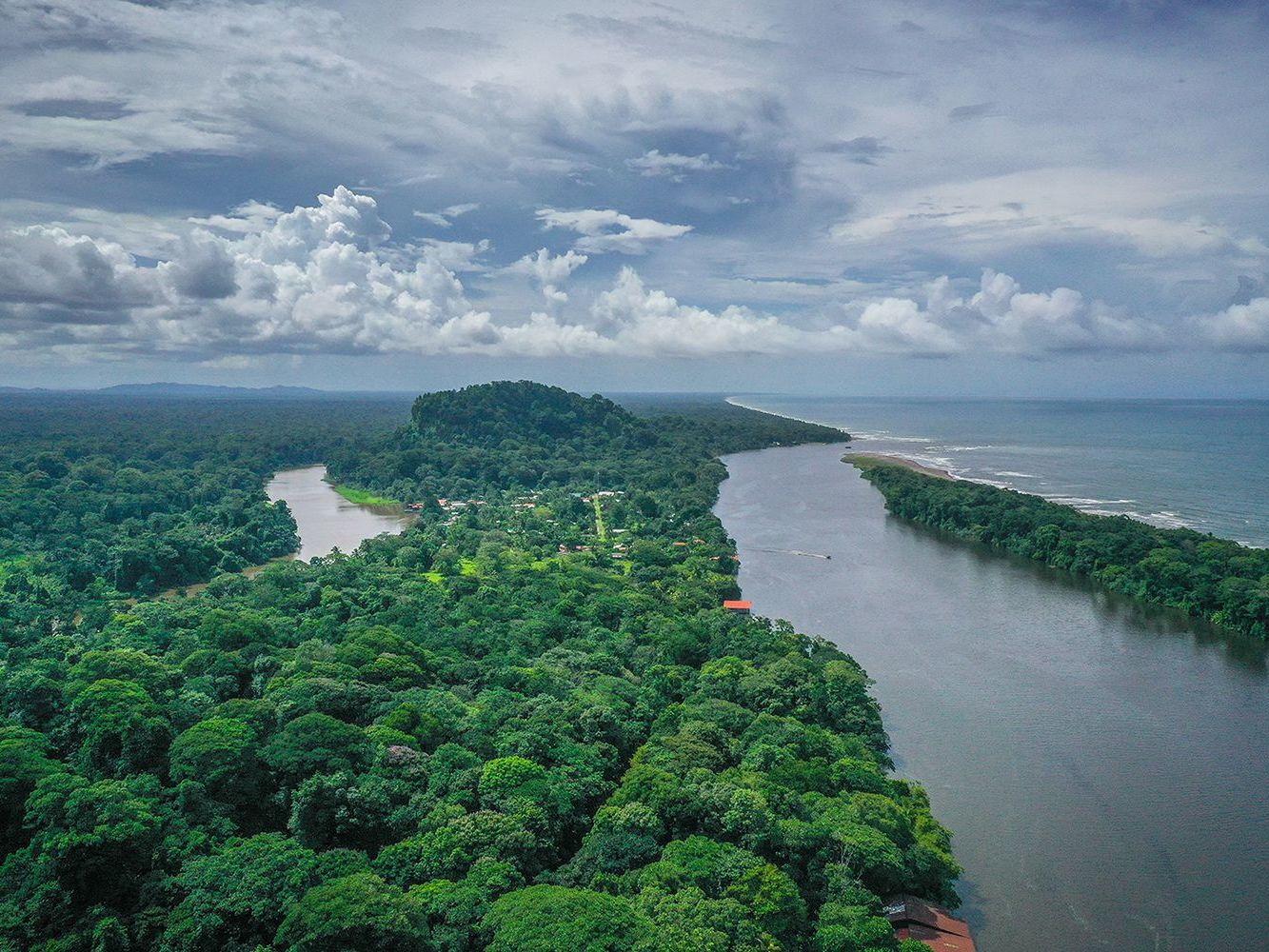 Transfer to La Pavona Dock/Boat Ride to Tortuga Lodge