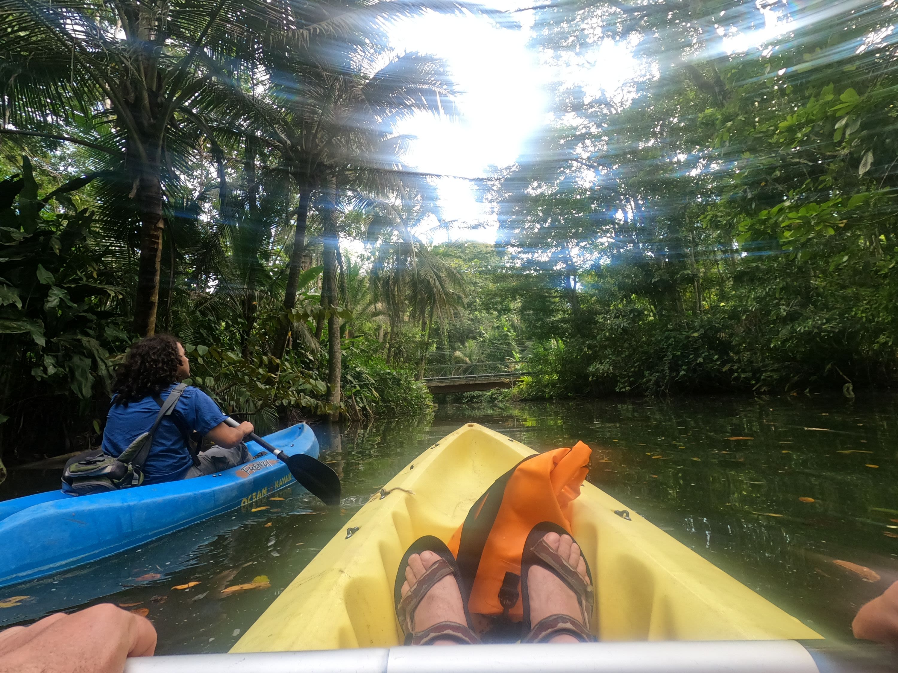 Excursions of Your Choice from Aguas Claras