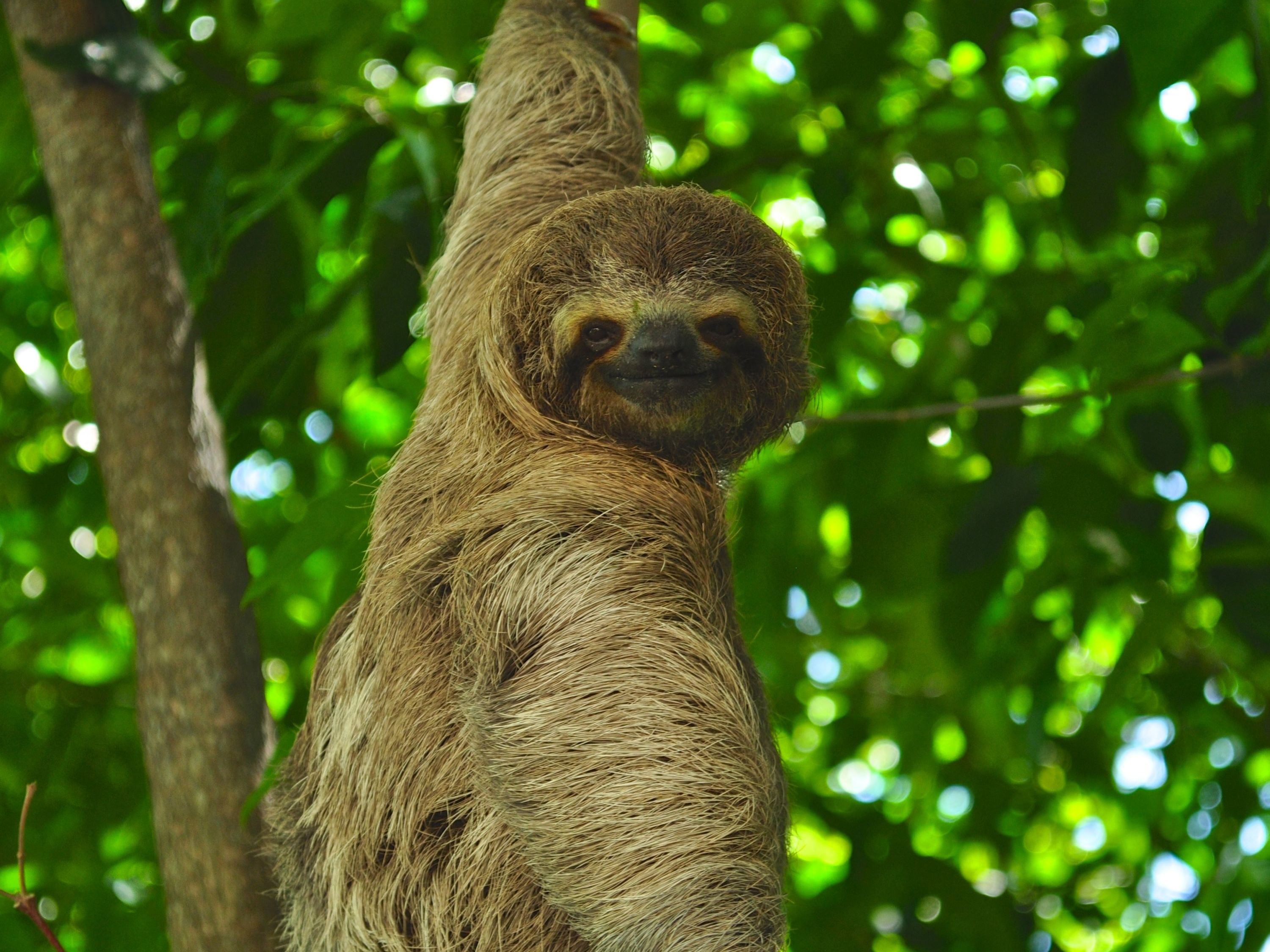 Excursion of Your Choice in from Arenas del Mar