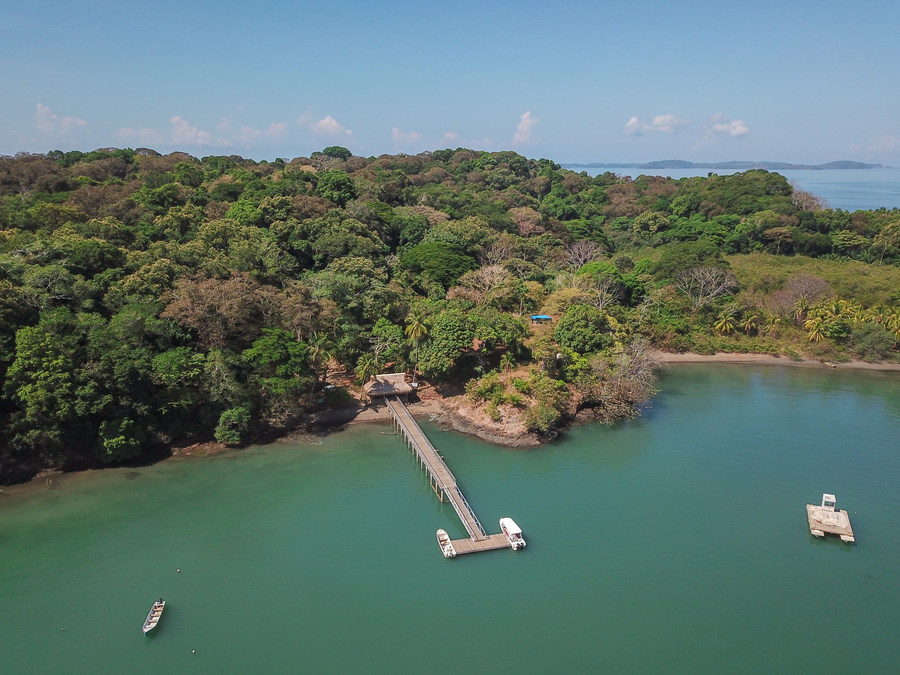 Private Transfer from David to Boca Chica / Boat to Palenque