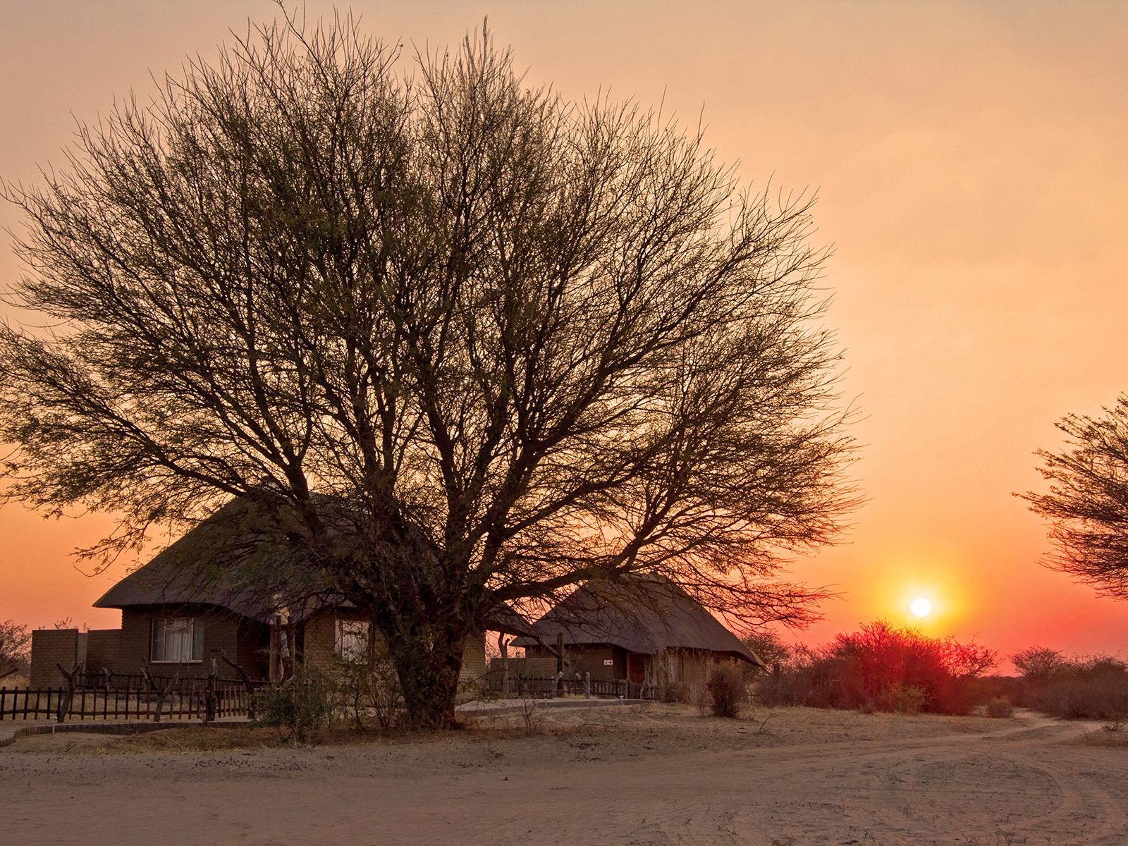 Grassland Bushman Lodge