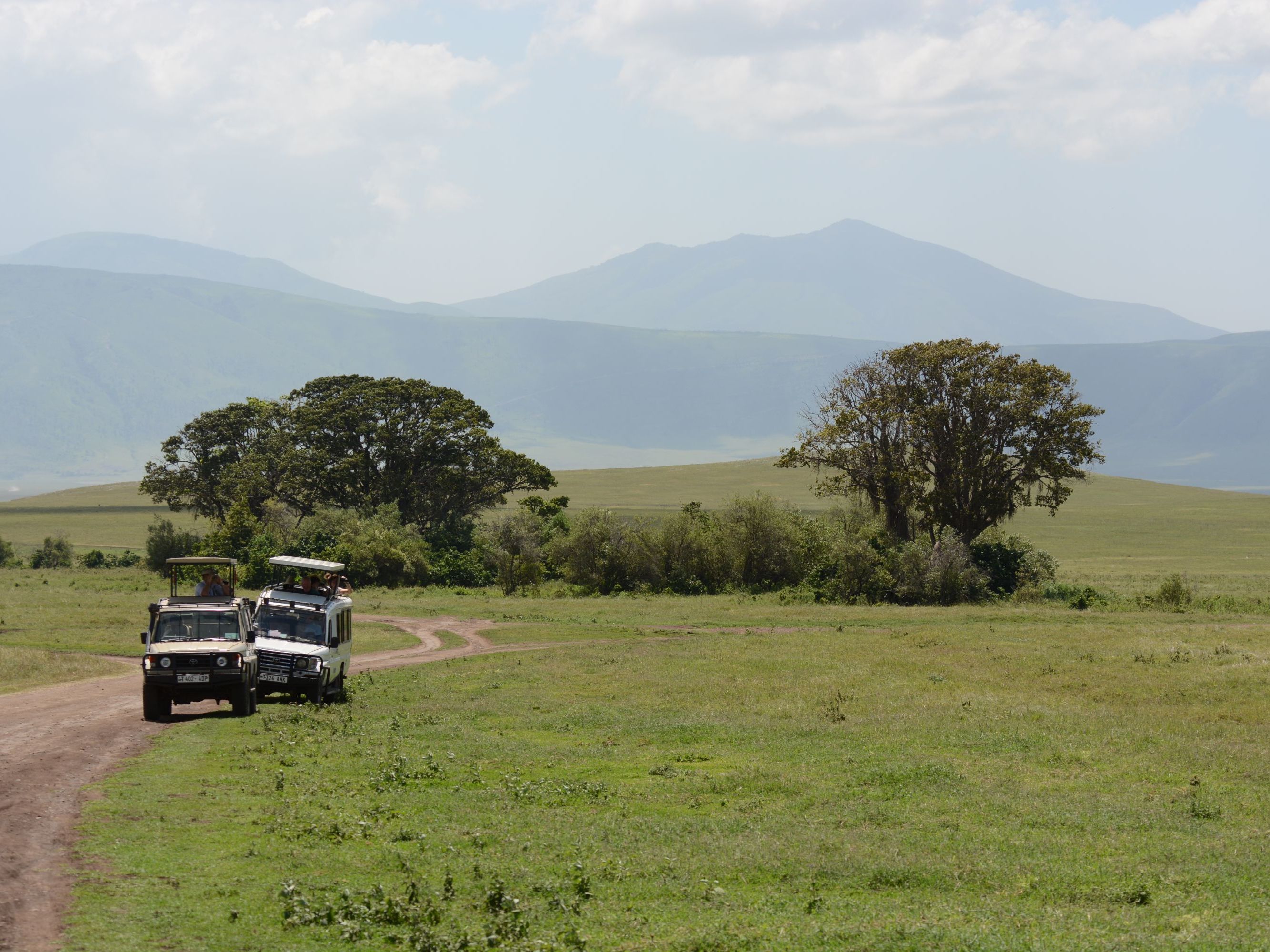 Ngorongoro Crater