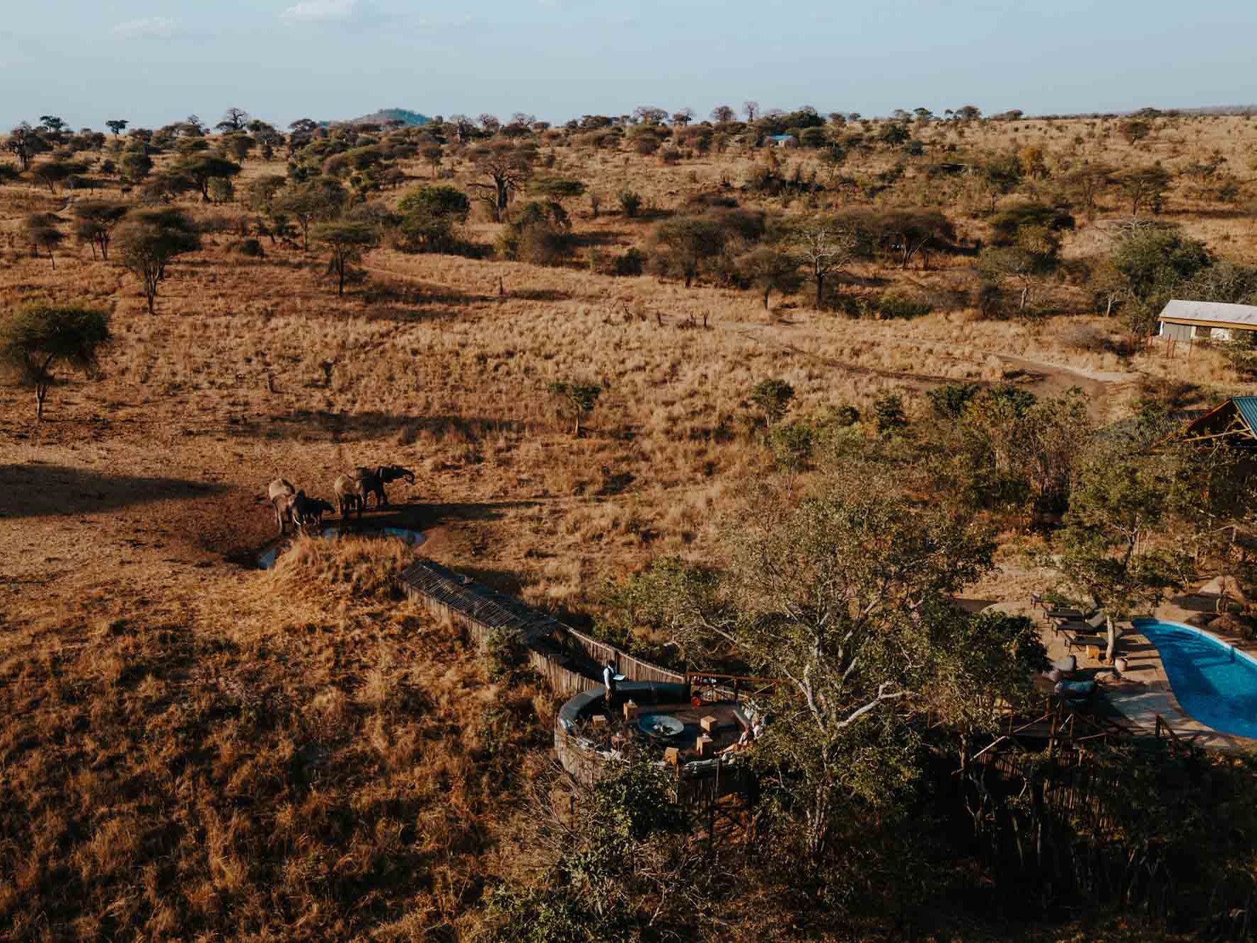 Nimali Tarangire Camp