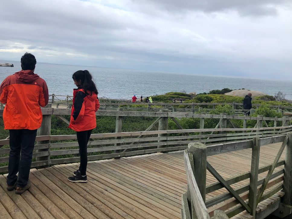 Boulders Penguin Sanctuary 