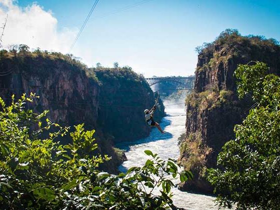 Victoria Falls Canopy Tour