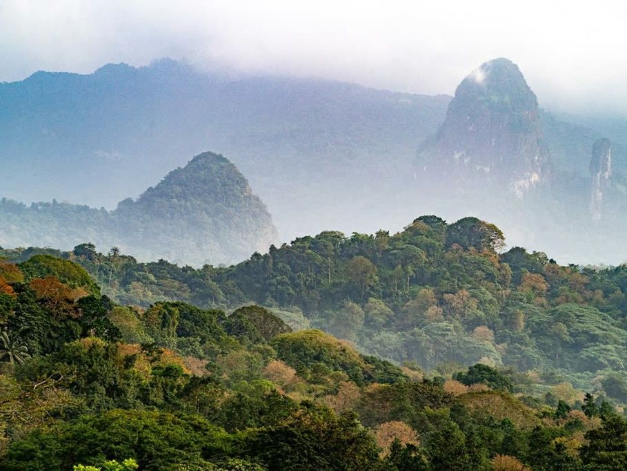 Introducing Principe