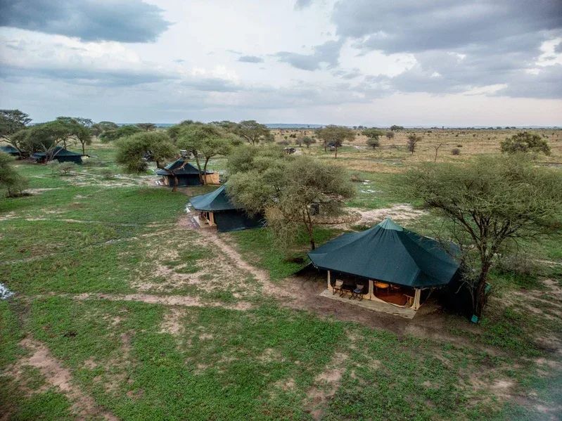 Honeyguide Tarangire Camp