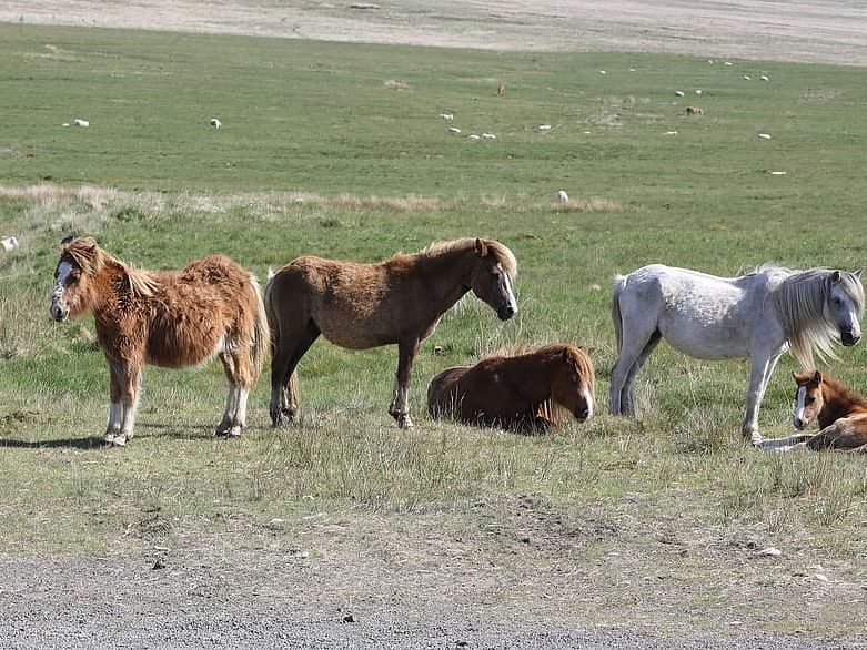 Sightseeing in the Brecon Beacons