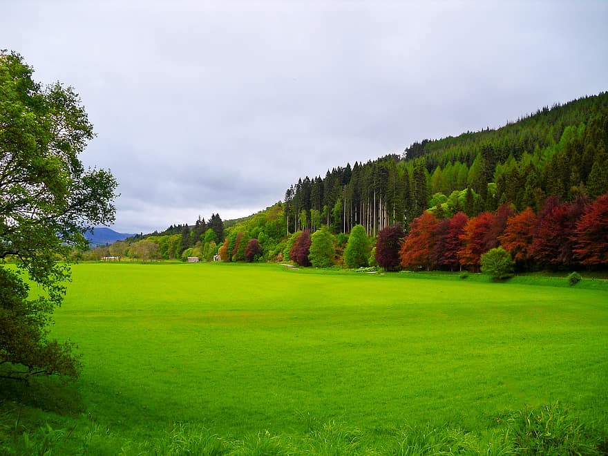 Transfer to Edinburgh