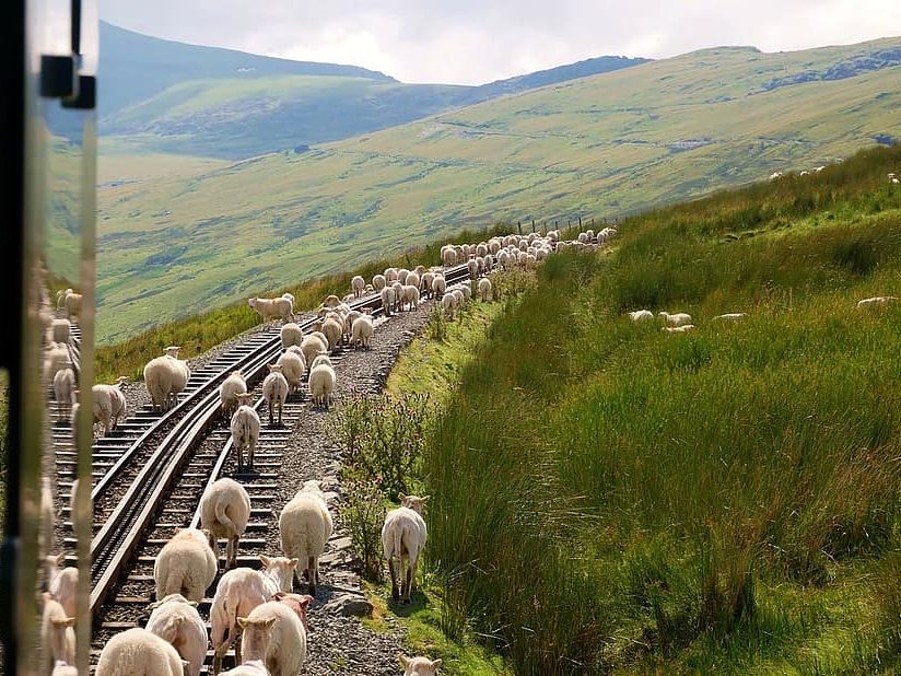A birds eye view of Anglesey