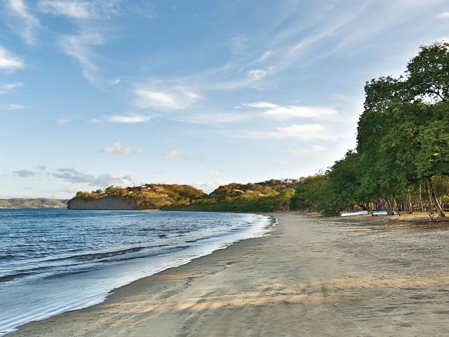 El Mangroove Activities