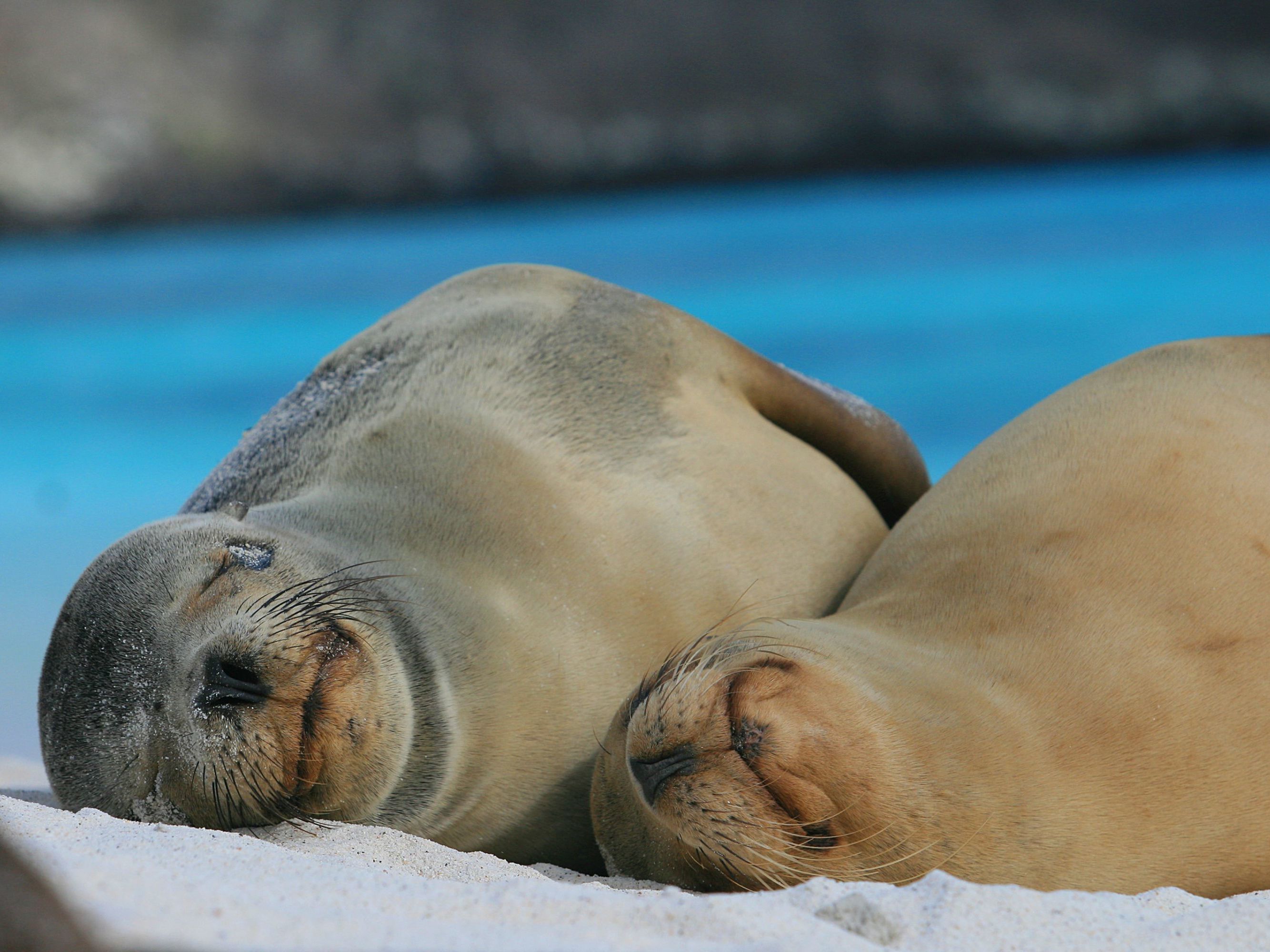 Santa Cruz Eastern Highlands and Beaches