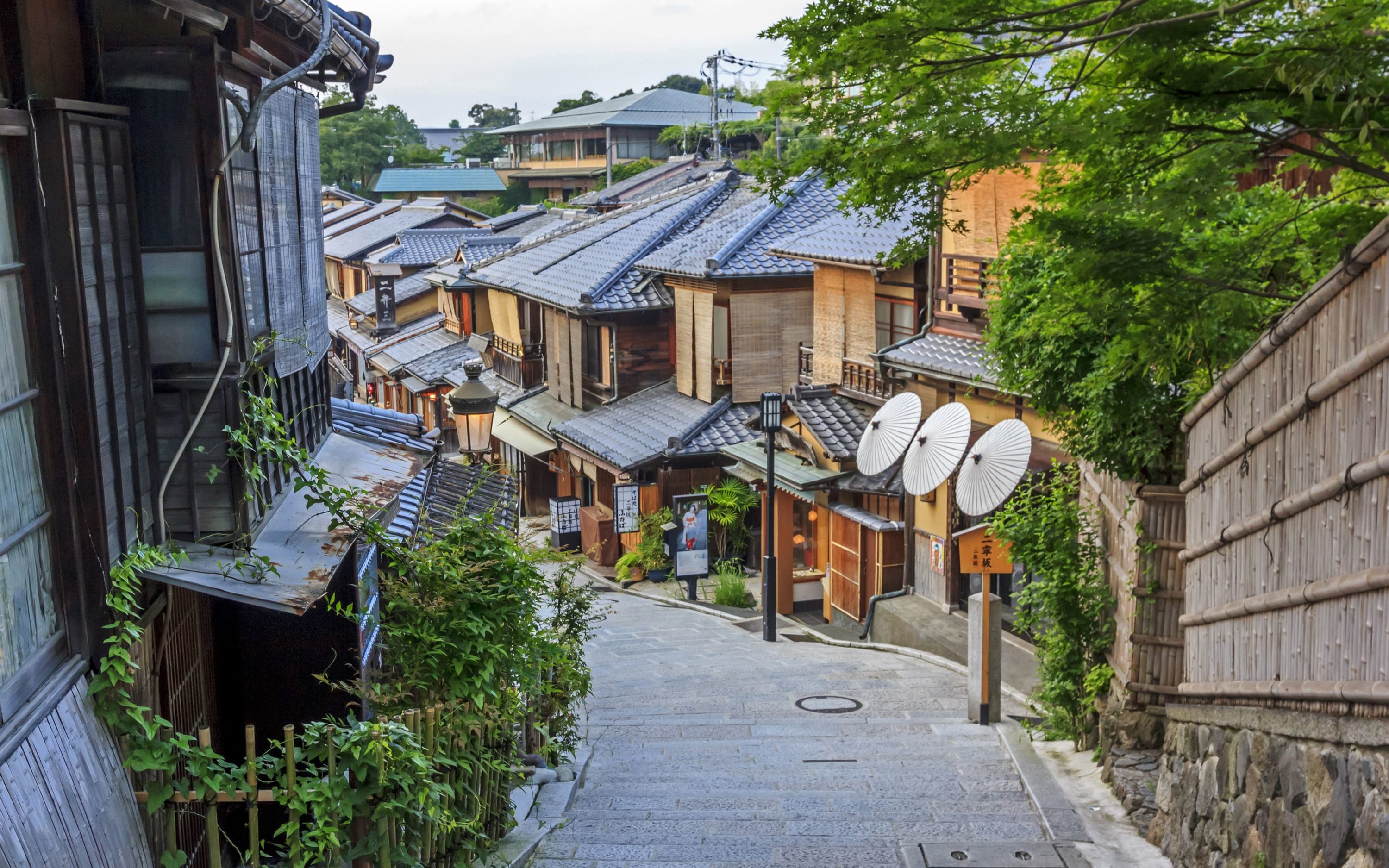 Private Guided Japan Tours