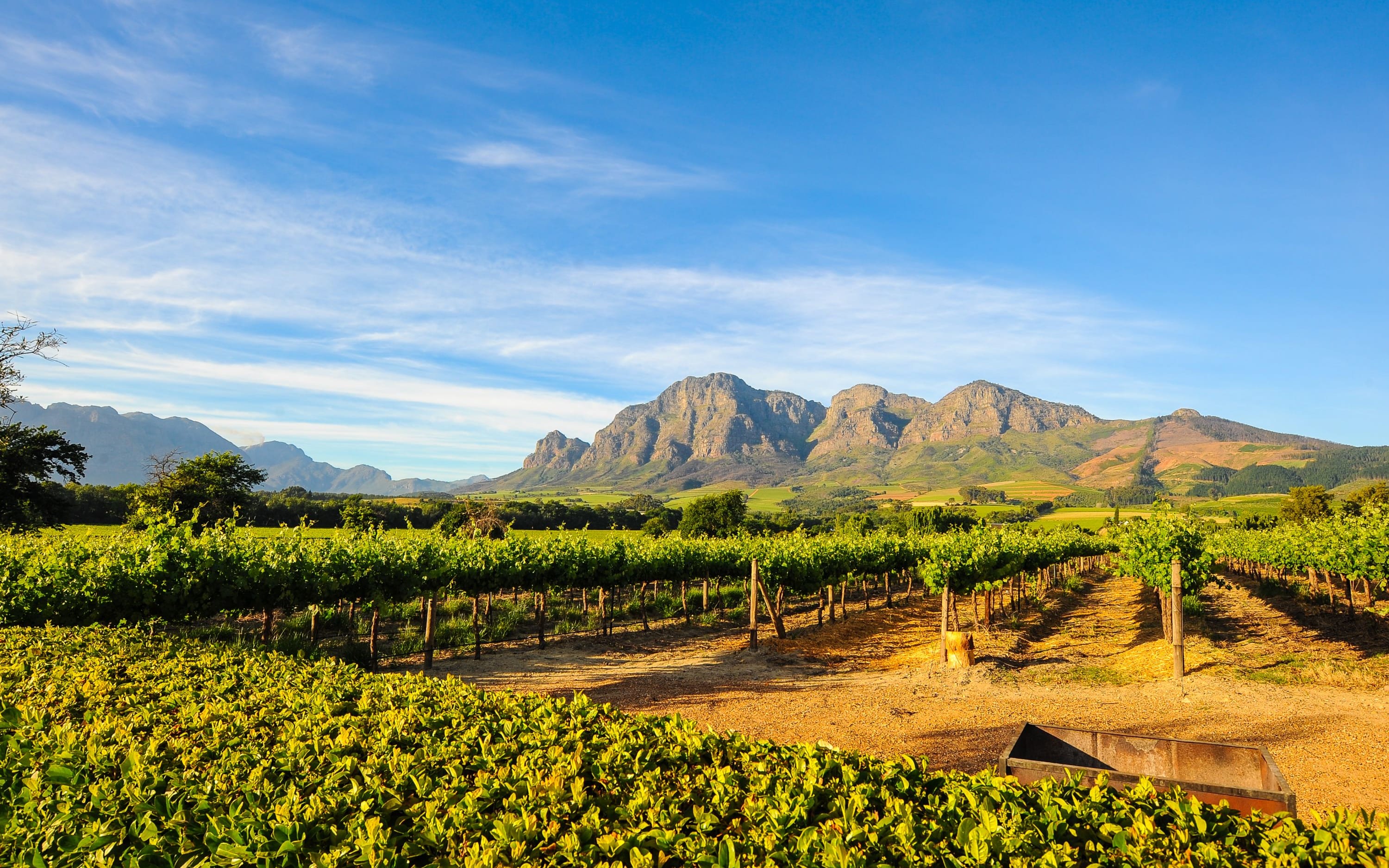 South African Adventures